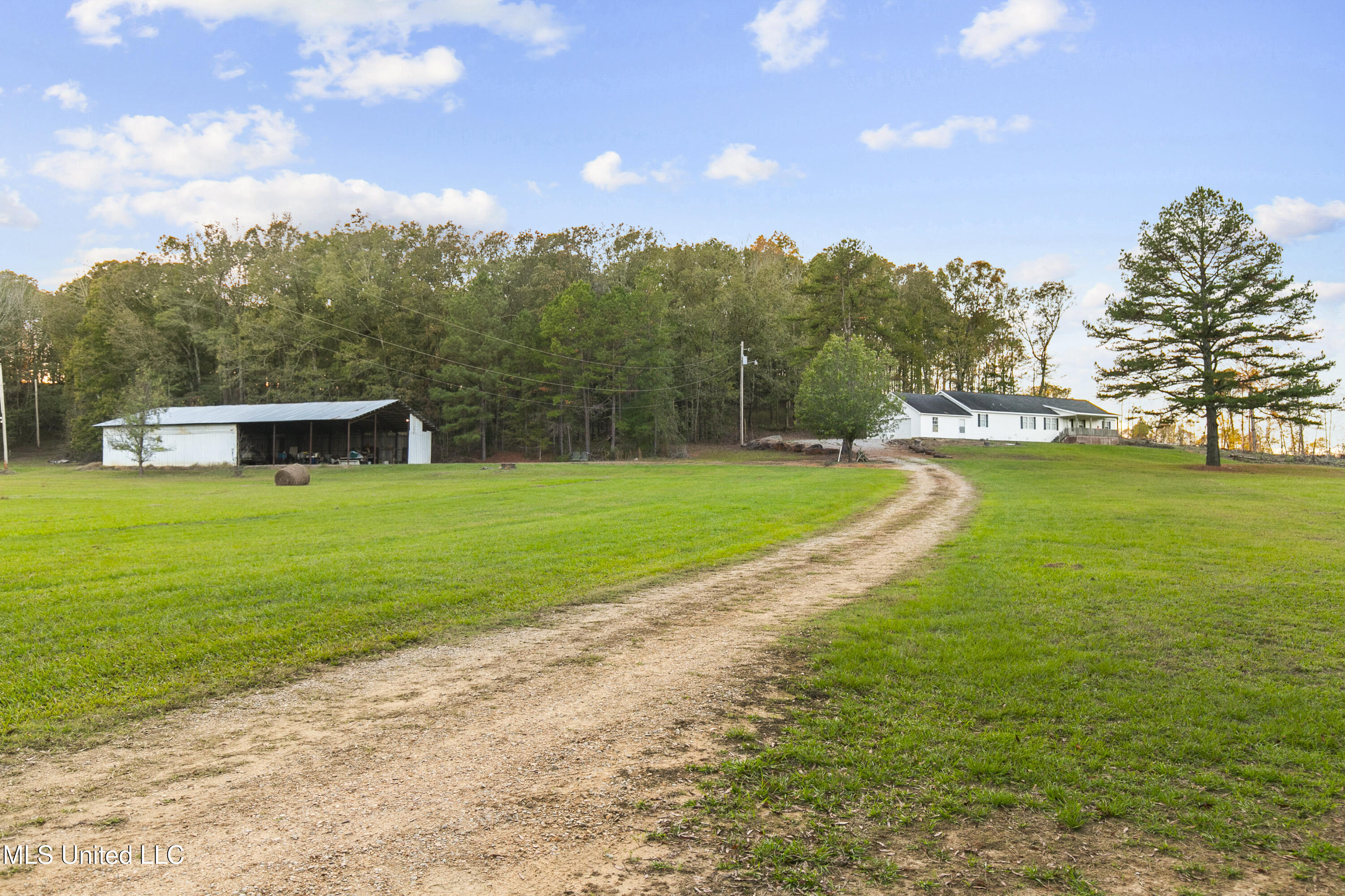 391 Attala Road Sallis, MS 39160 - Photo 1 of 90 391 AR 4127-86