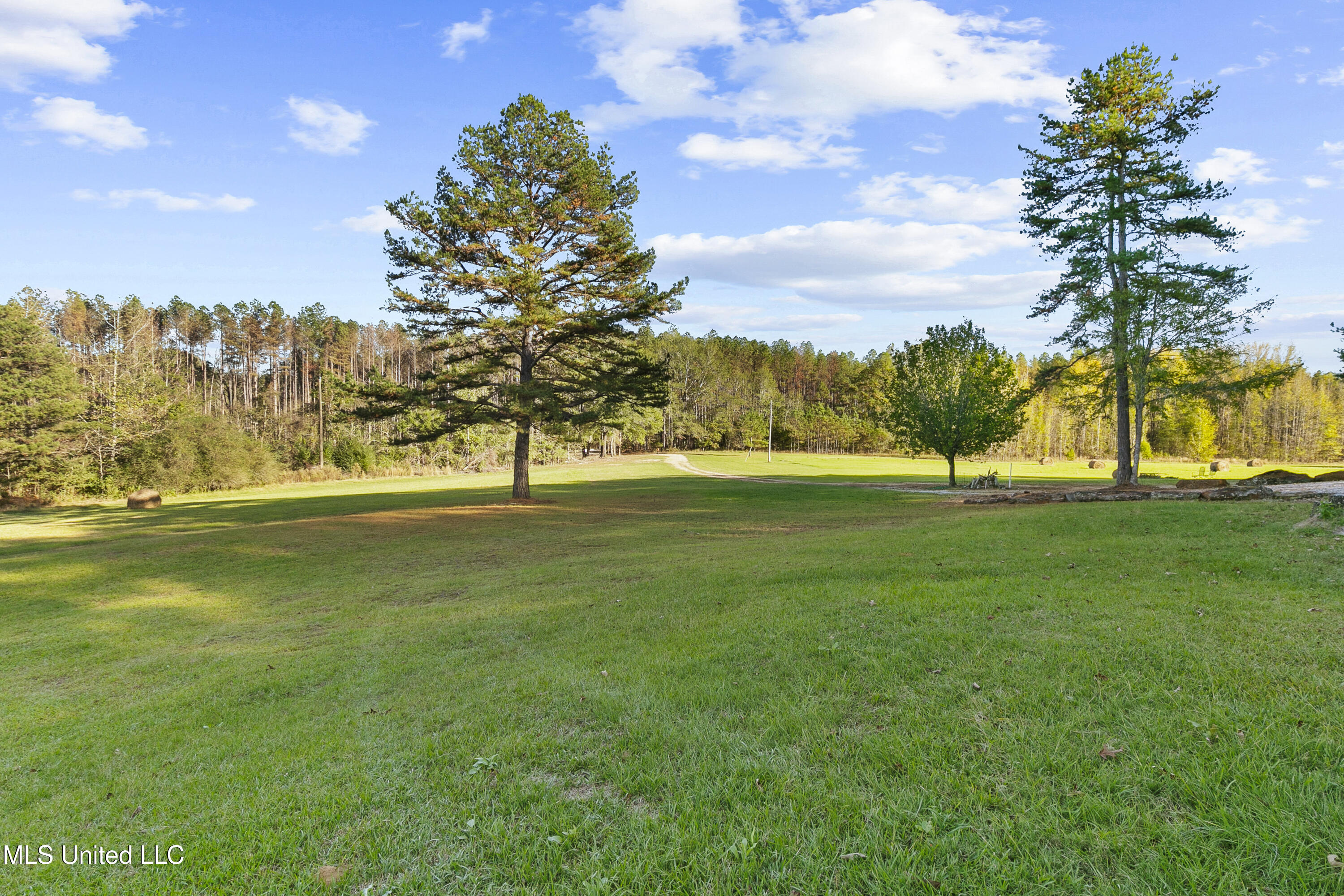 391 Attala Road Sallis, MS 39160 - Photo 11 of 90 391 AR 4127-18
