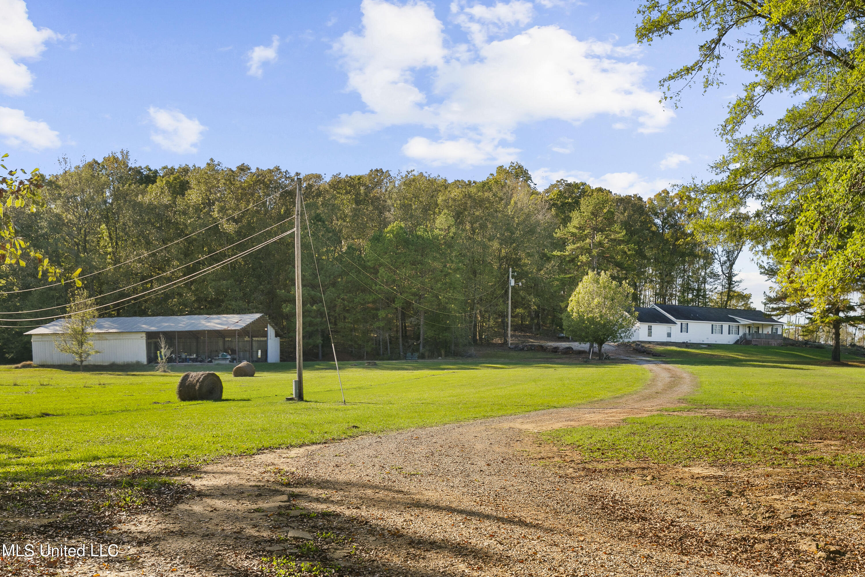 391 Attala Road Sallis, MS 39160 - Photo 3 of 90 391 AR 4127-3