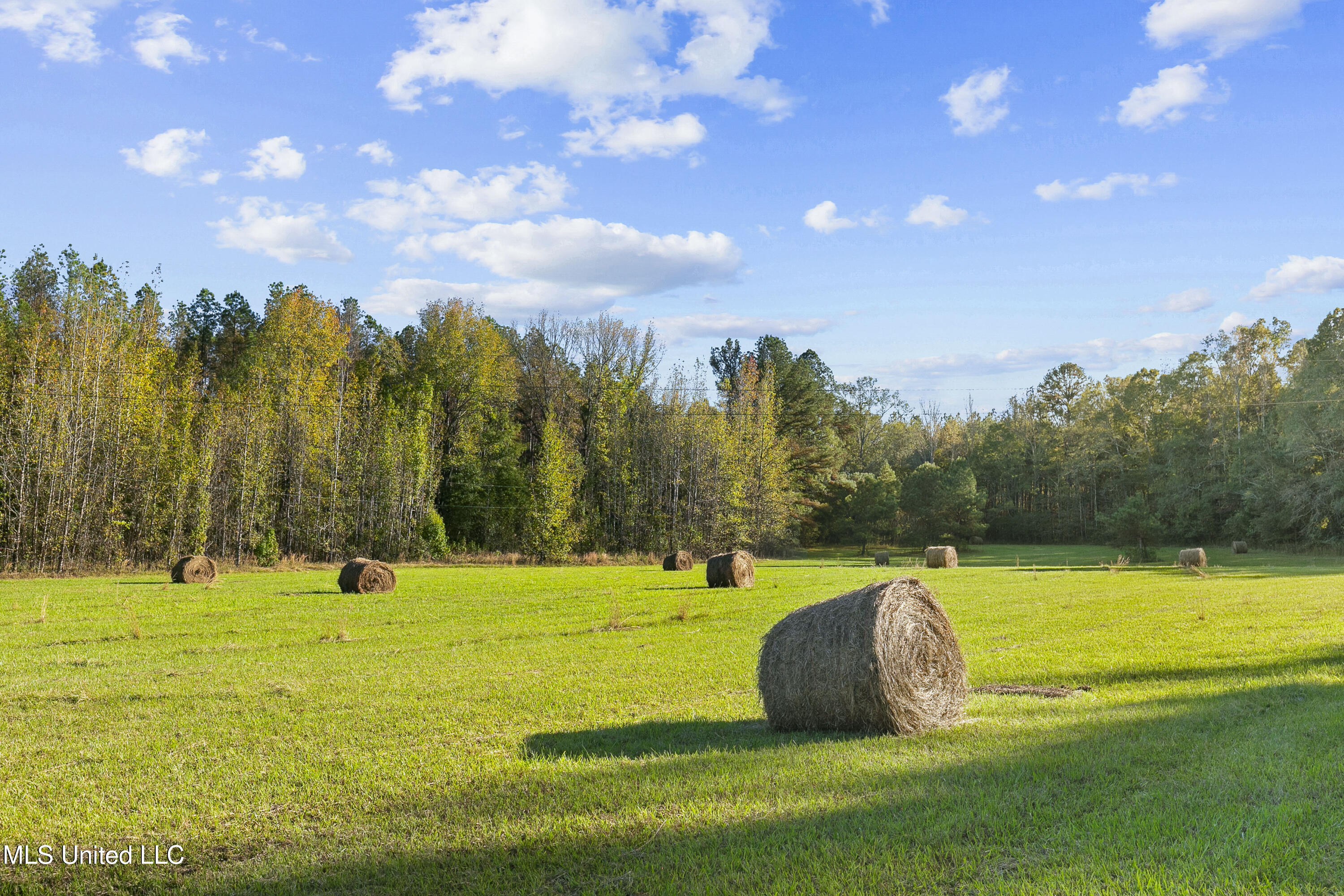 391 Attala Road Sallis, MS 39160 - Photo 4 of 90 391 AR 4127-5