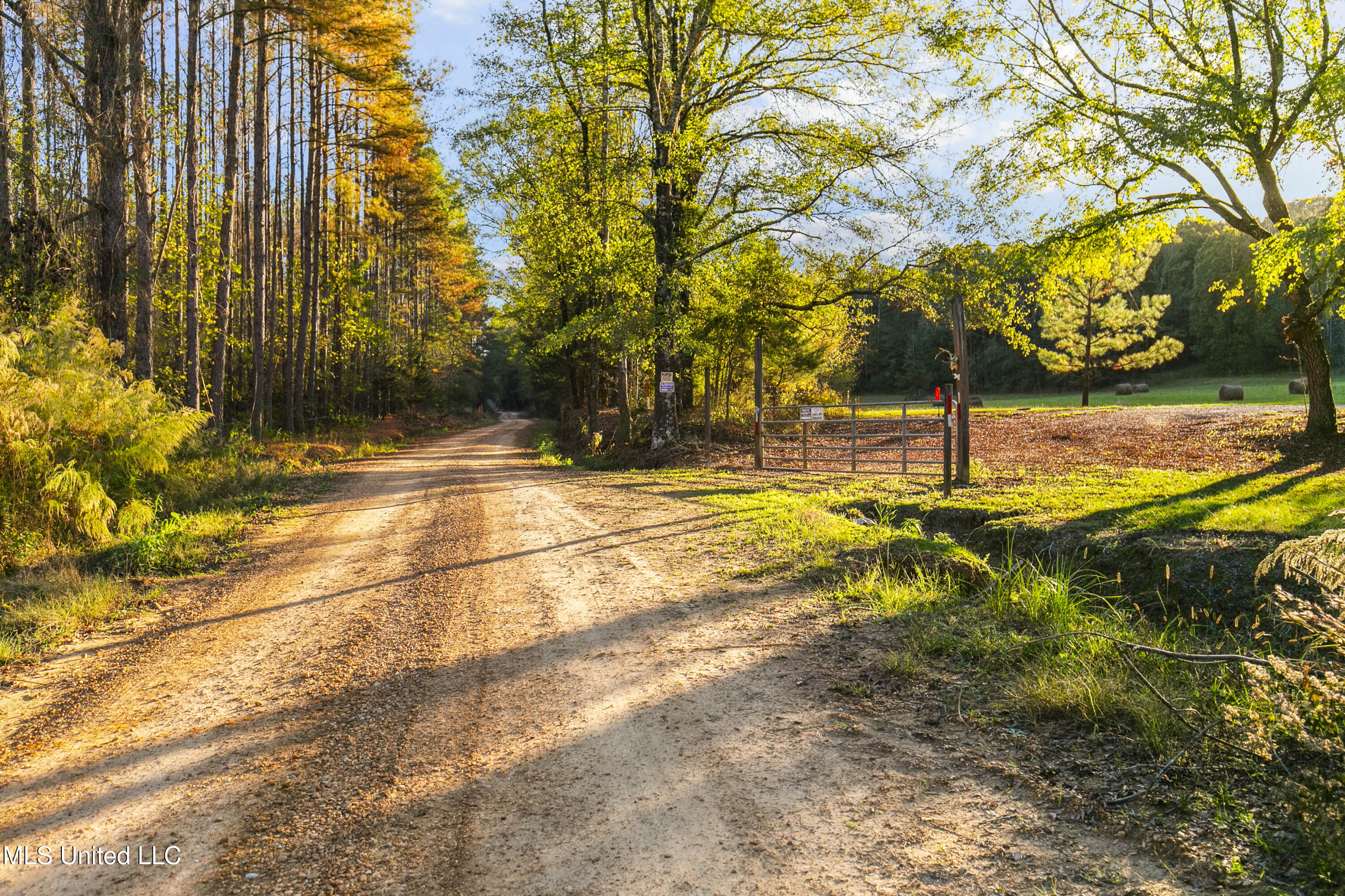391 Attala Road Sallis, MS 39160 - Photo 46 of 90 391 AR 4127-54