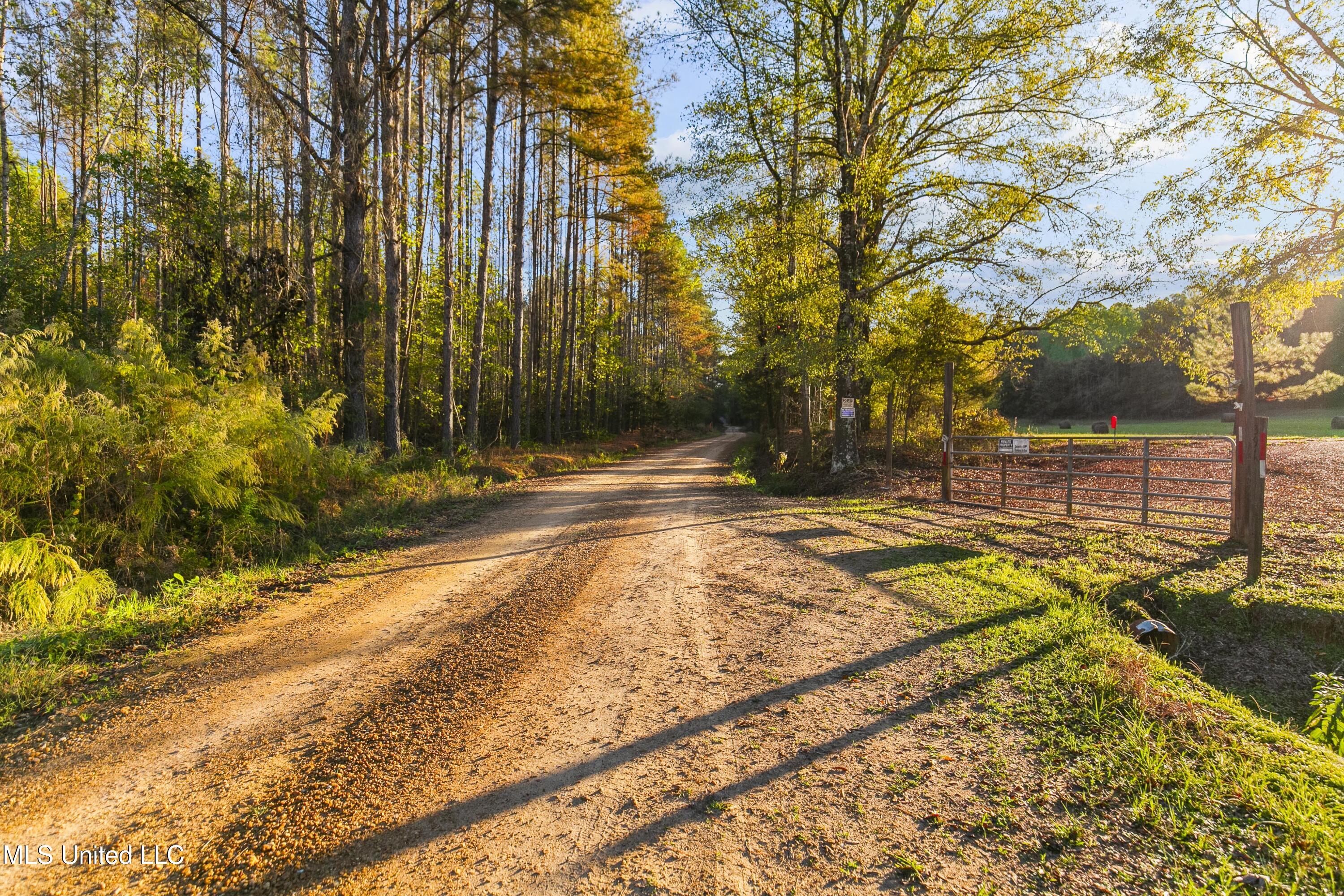 391 Attala Road Sallis, MS 39160 - Photo 47 of 90 391 AR 4127-55