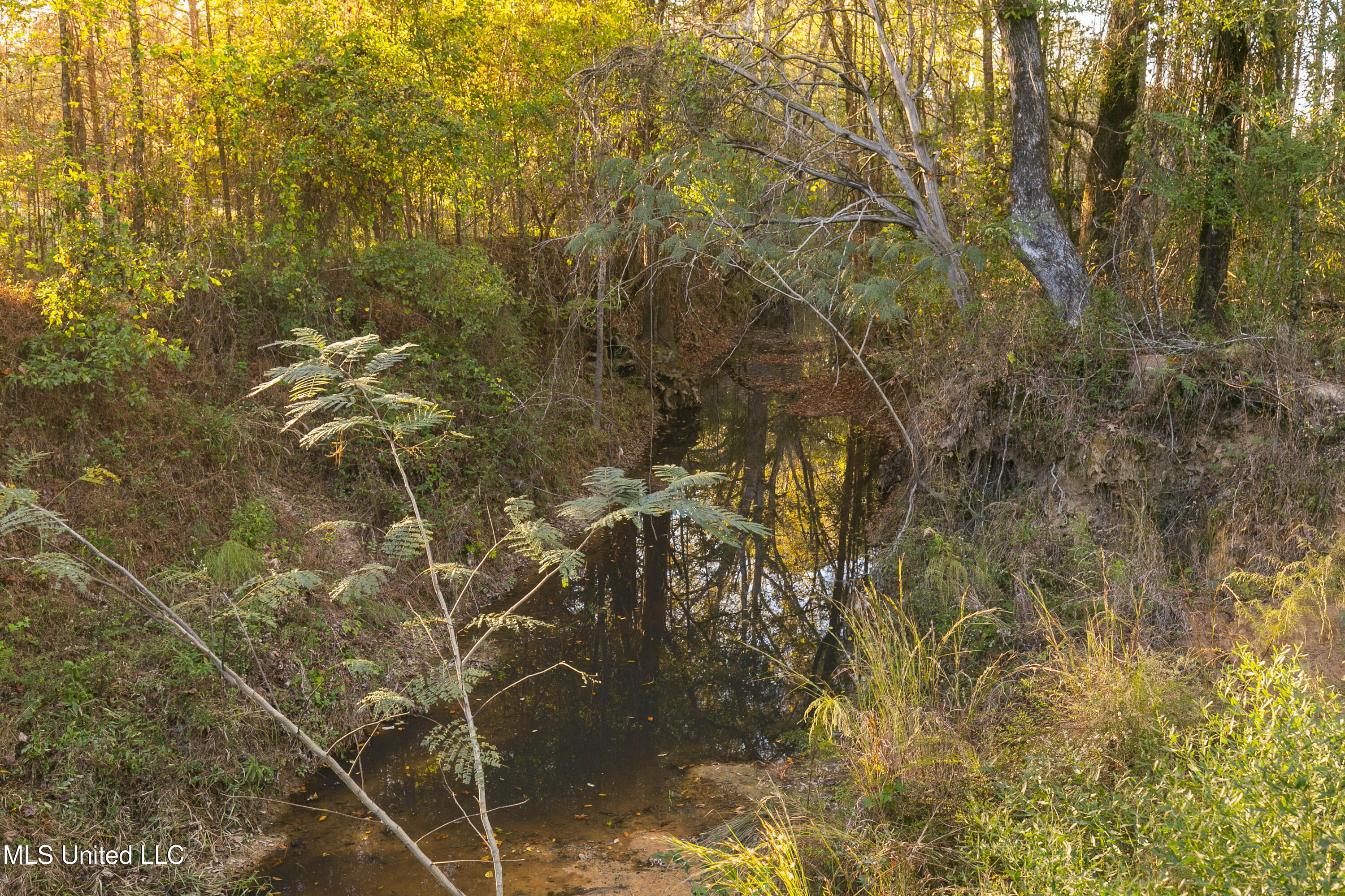 391 Attala Road Sallis, MS 39160 - Photo 49 of 90 391 AR 4127-57