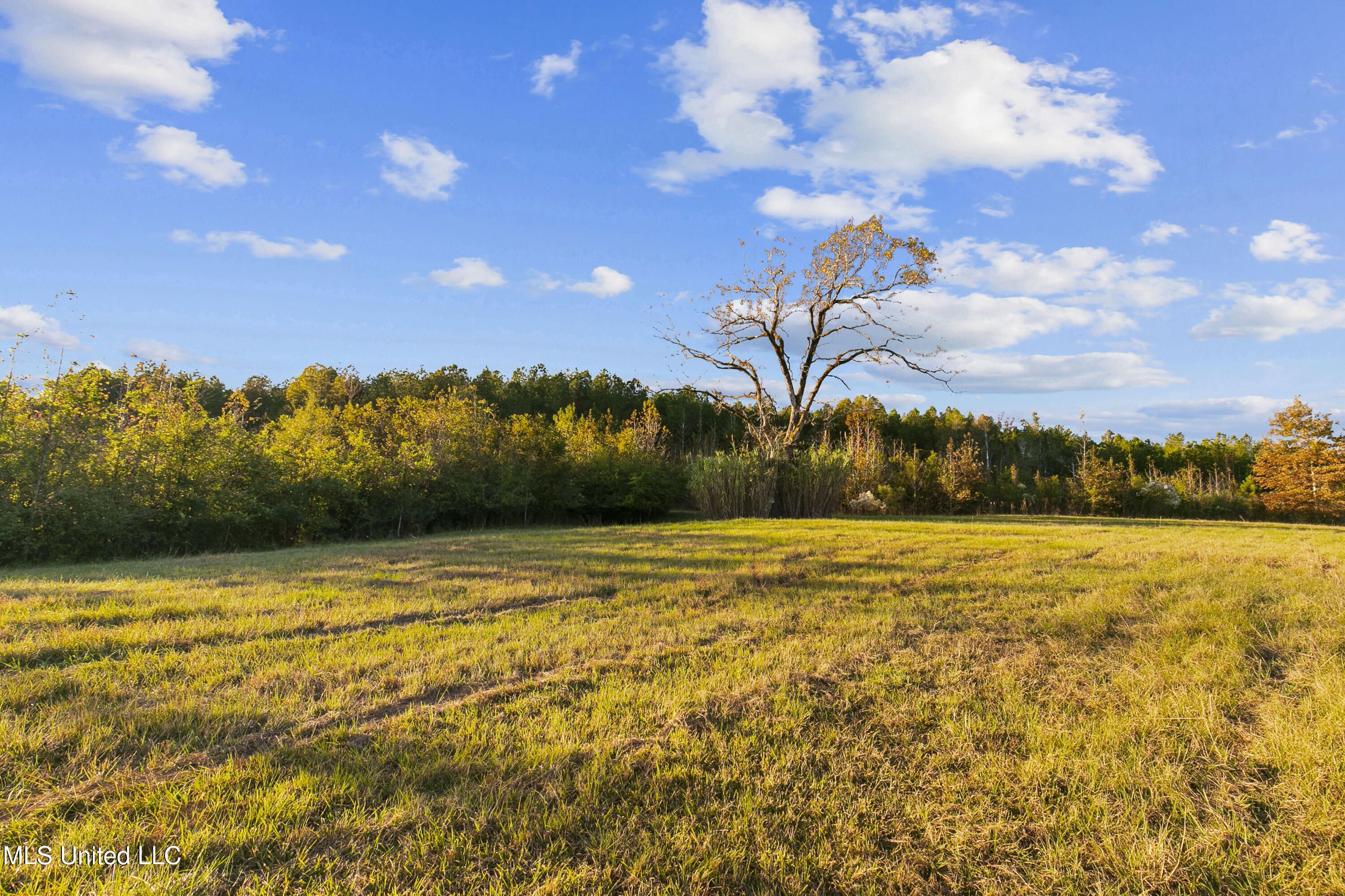 391 Attala Road Sallis, MS 39160 - Photo 51 of 90 391 AR 4127-60