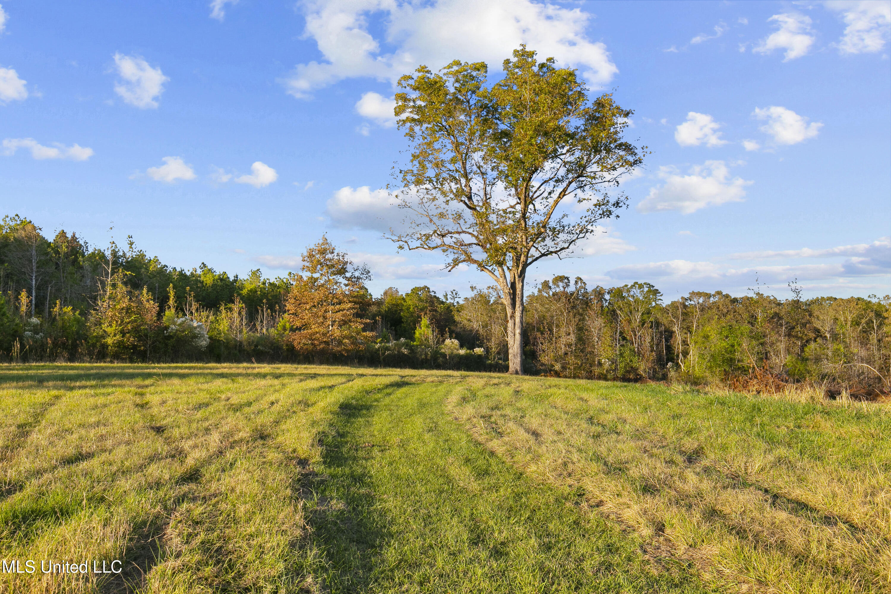 391 Attala Road Sallis, MS 39160 - Photo 52 of 90 391 AR 4127-62