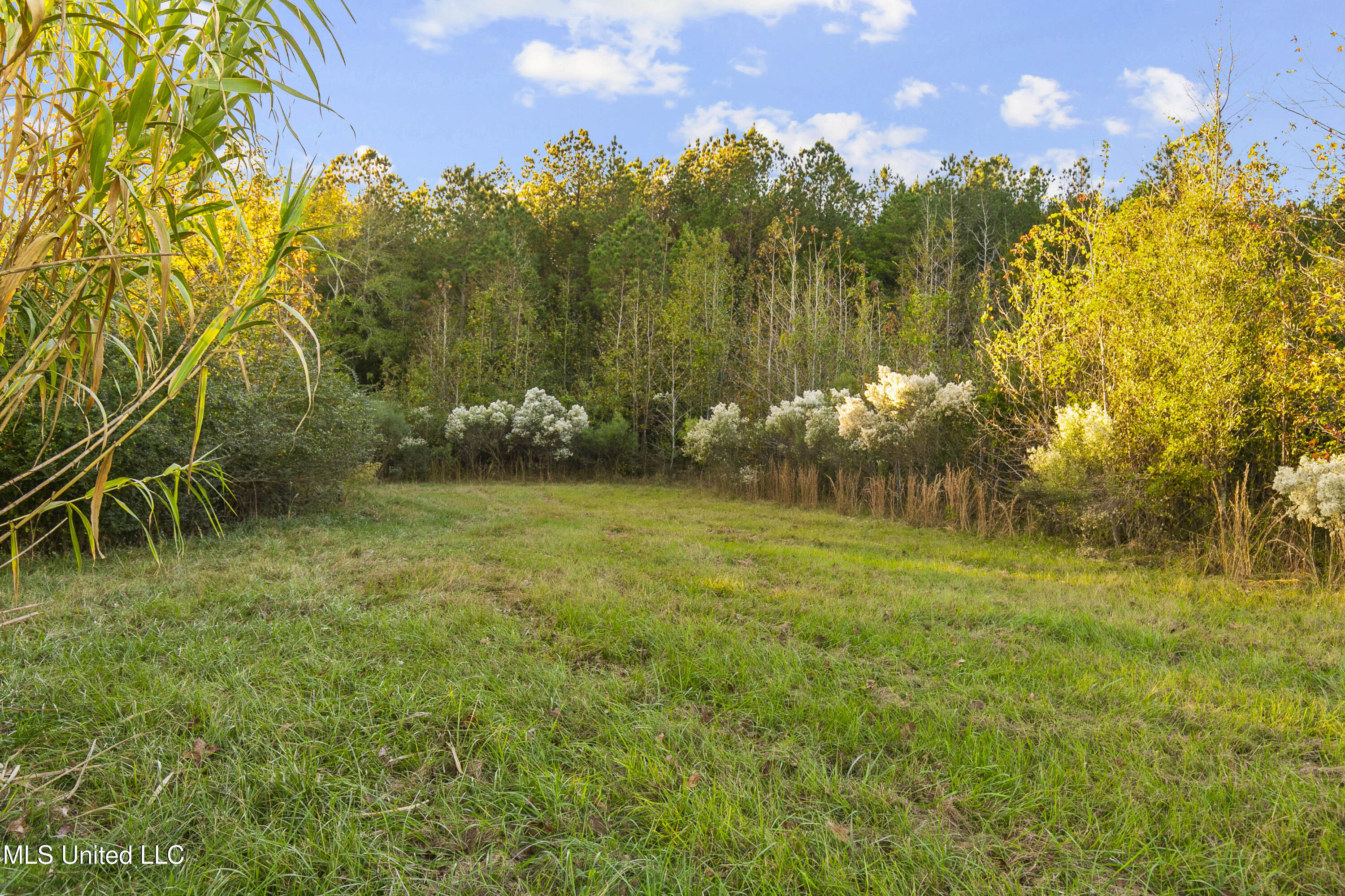 391 Attala Road Sallis, MS 39160 - Photo 53 of 90 391 AR 4127-64