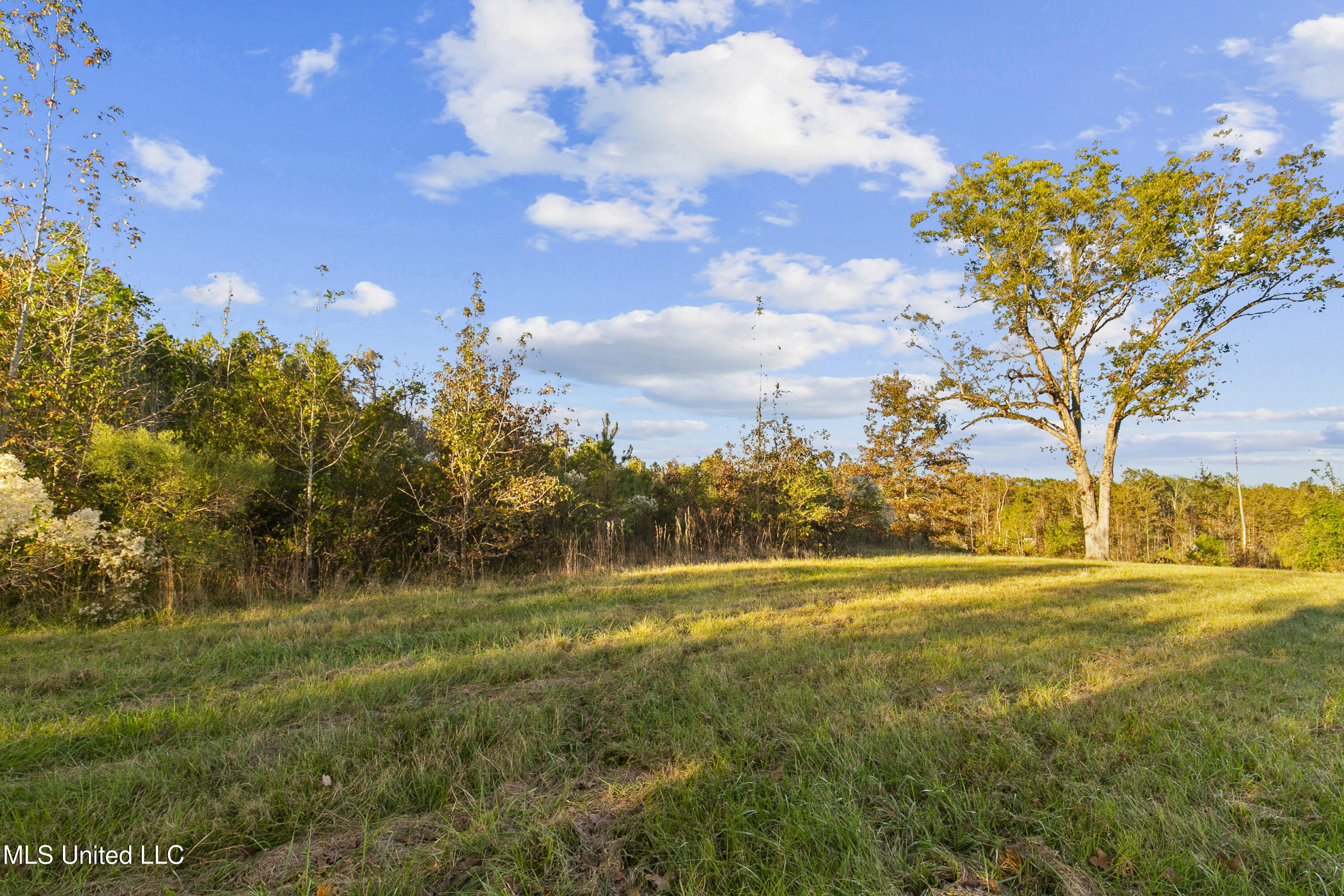 391 Attala Road Sallis, MS 39160 - Photo 54 of 90 391 AR 4127-65