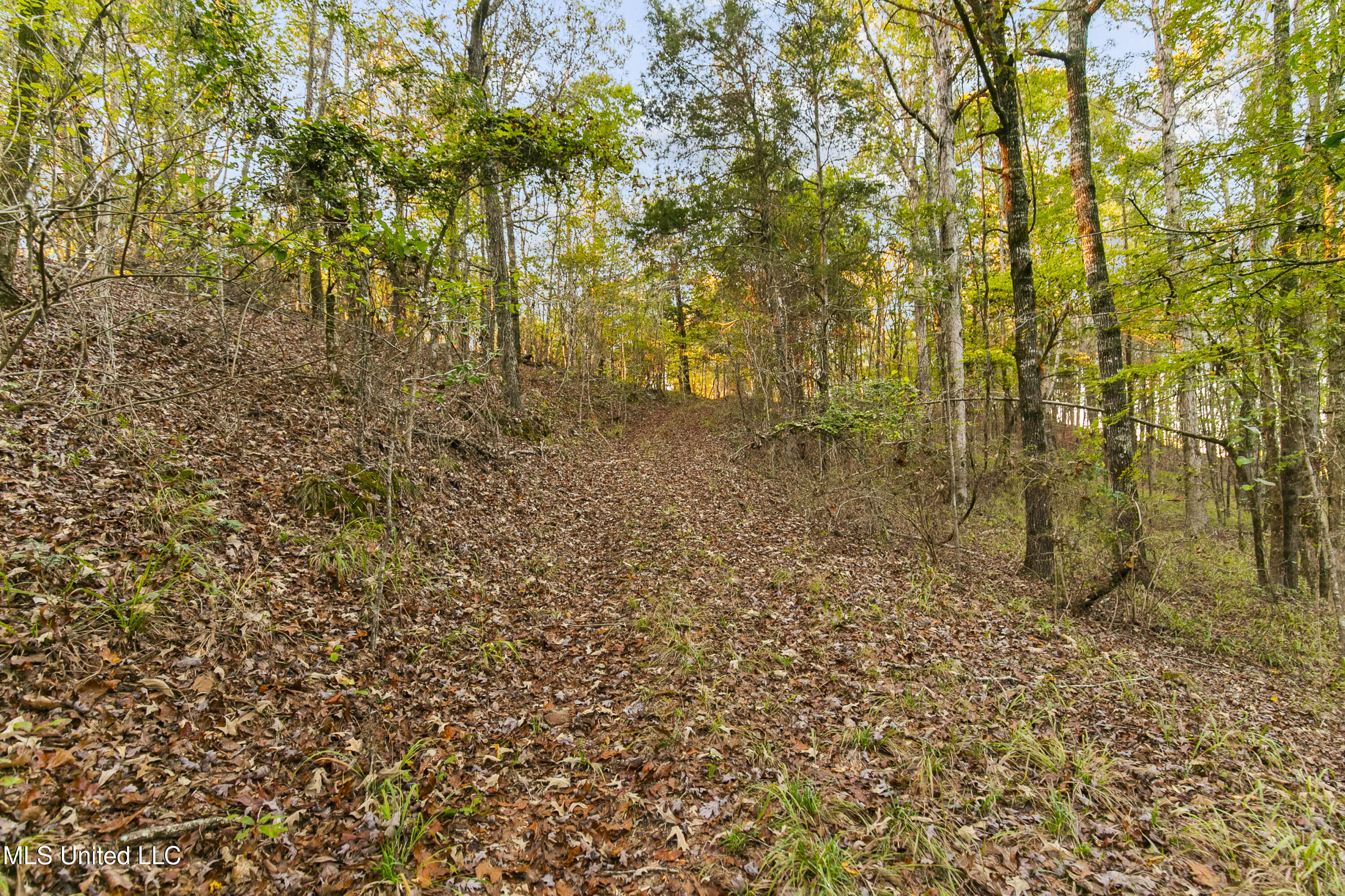 391 Attala Road Sallis, MS 39160 - Photo 57 of 90 391 AR 4127-69