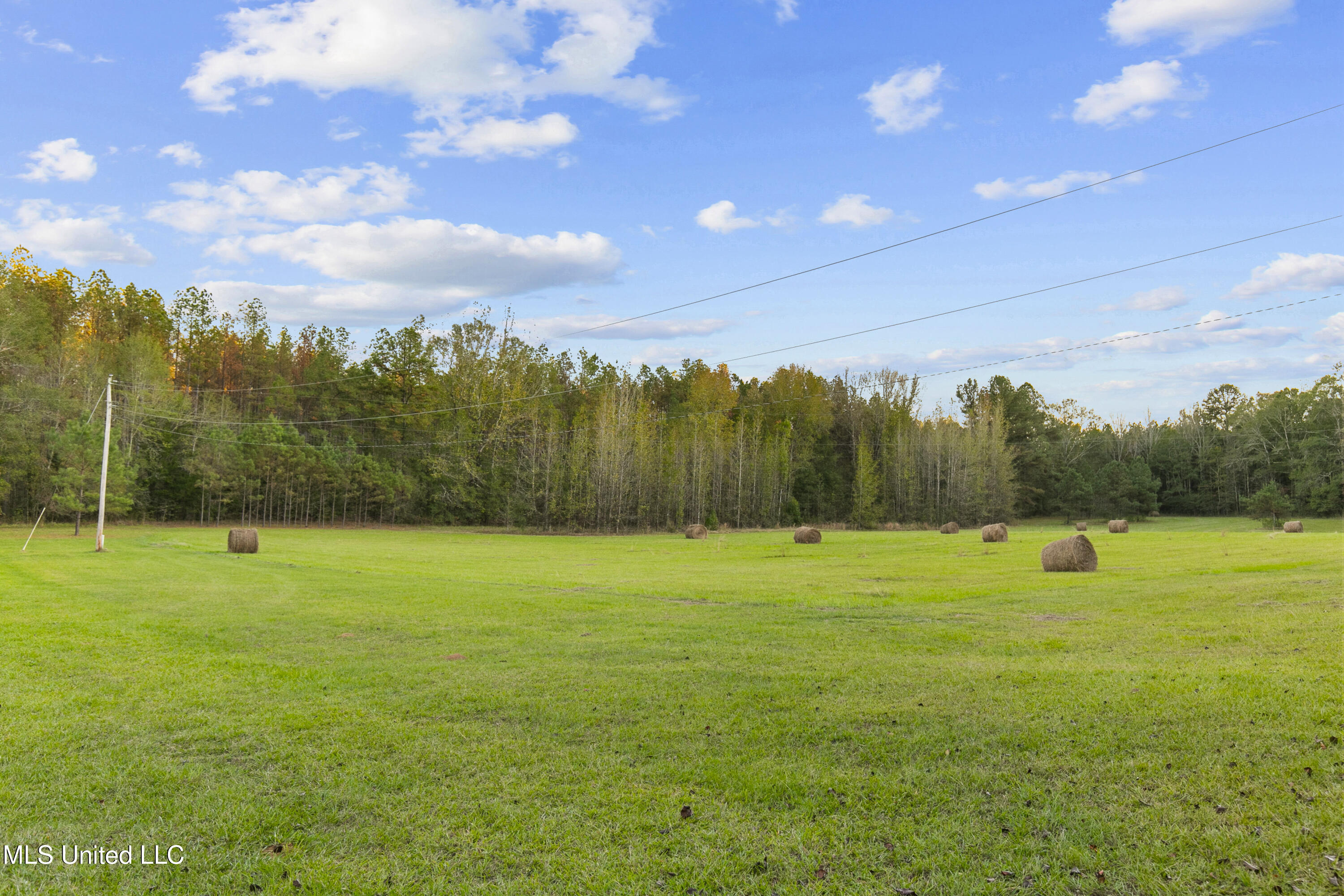 391 Attala Road Sallis, MS 39160 - Photo 68 of 90 391 AR 4127-83