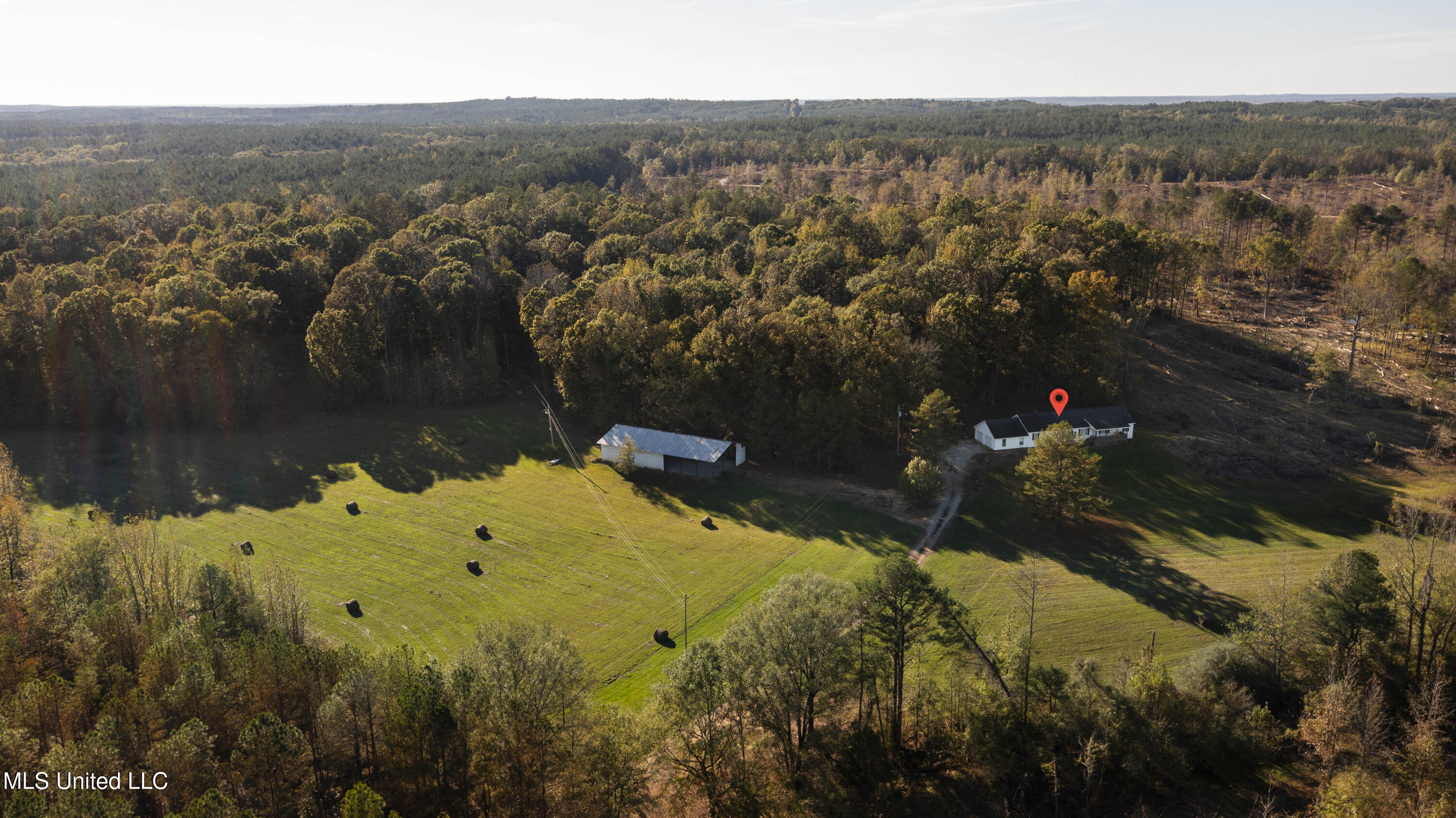 391 Attala Road Sallis, MS 39160 - Photo 71 of 90 391 AR 4127-94a