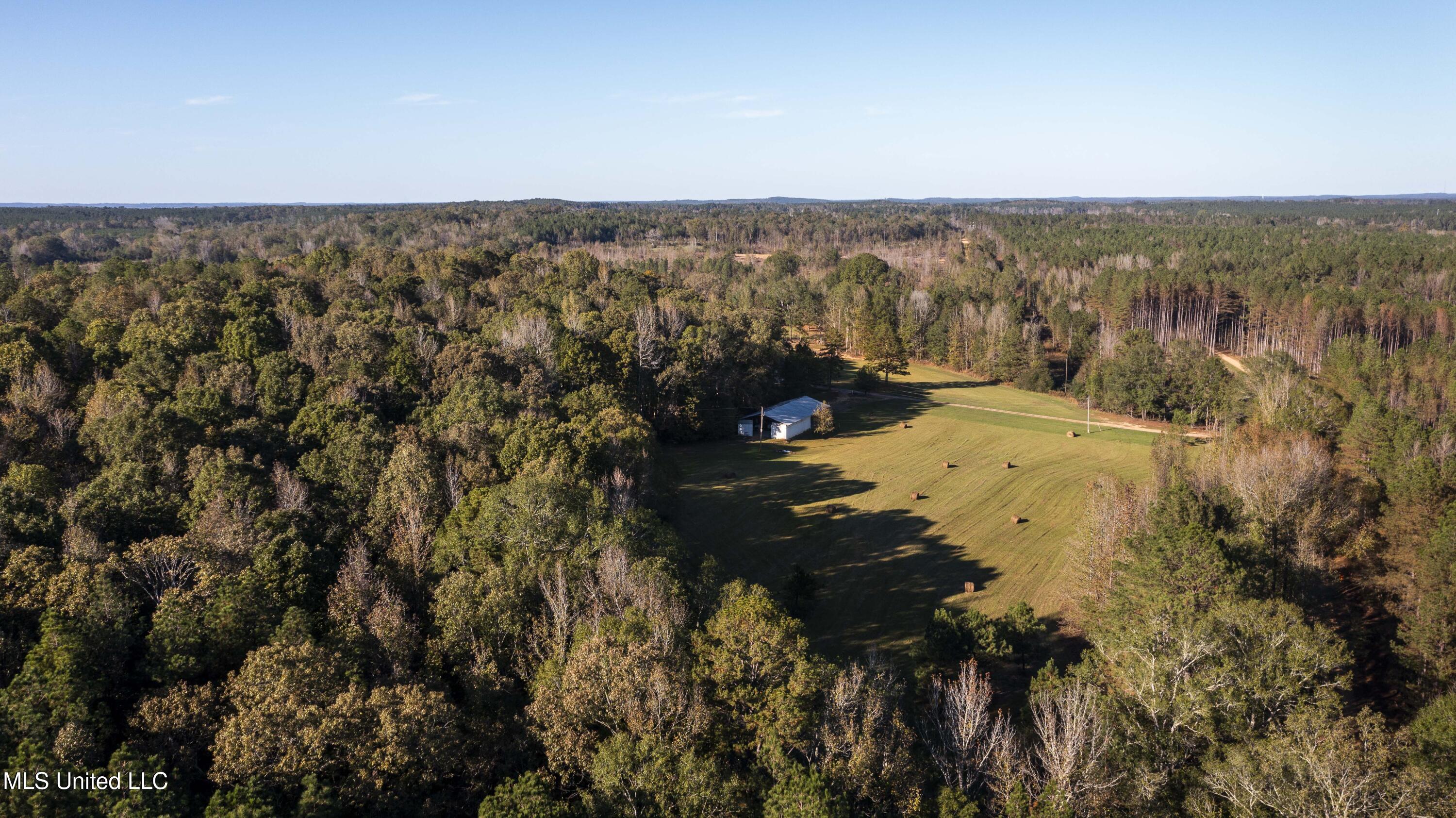 391 Attala Road Sallis, MS 39160 - Photo 72 of 90 391 AR 4127-97