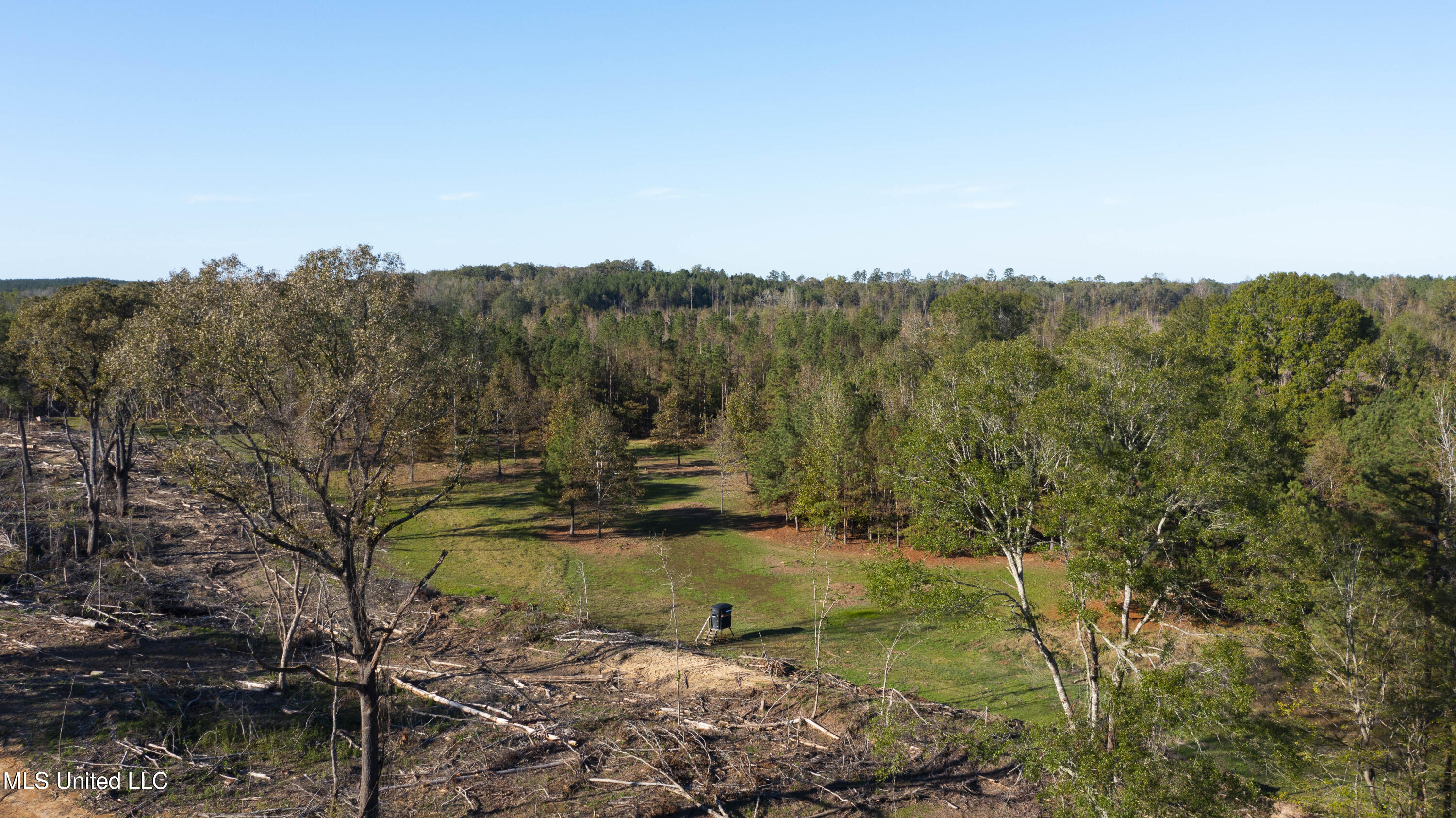 391 Attala Road Sallis, MS 39160 - Photo 74 of 90 391 AR 4127-99