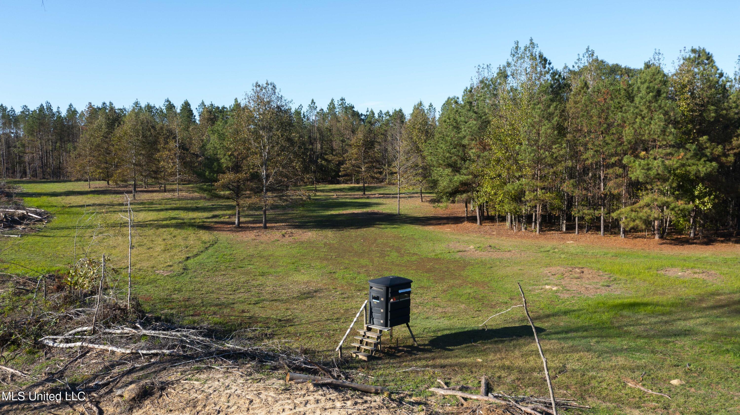 391 Attala Road Sallis, MS 39160 - Photo 75 of 90 391 AR 4127-100
