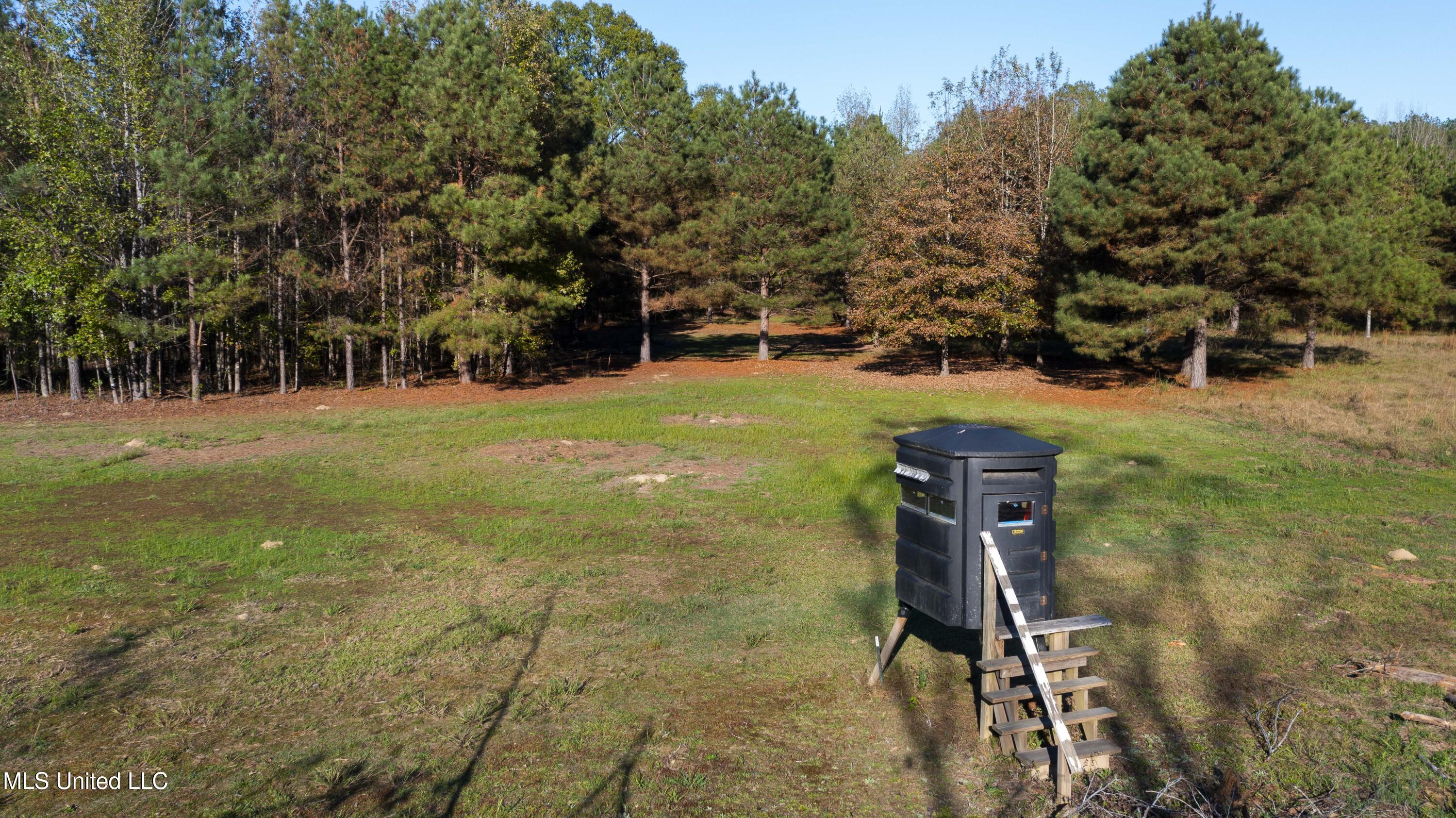 391 Attala Road Sallis, MS 39160 - Photo 76 of 90 391 AR 4127-101