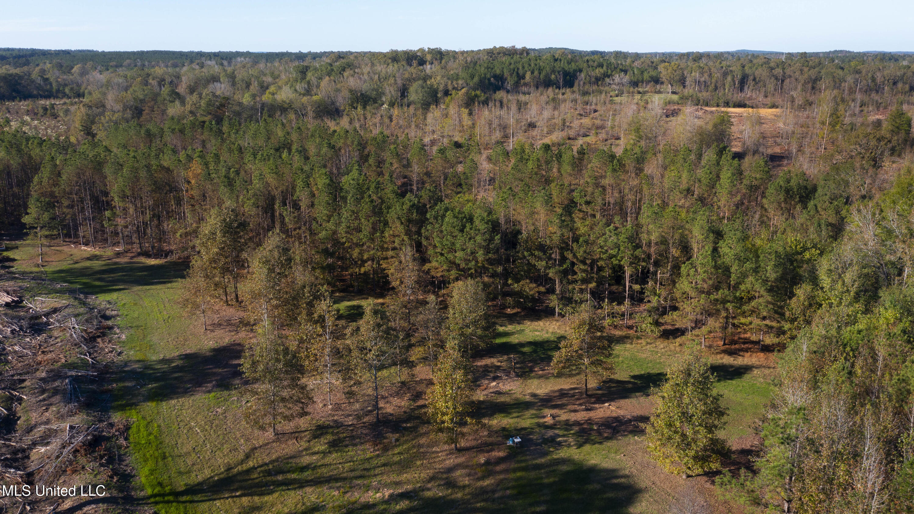391 Attala Road Sallis, MS 39160 - Photo 77 of 90 391 AR 4127-102
