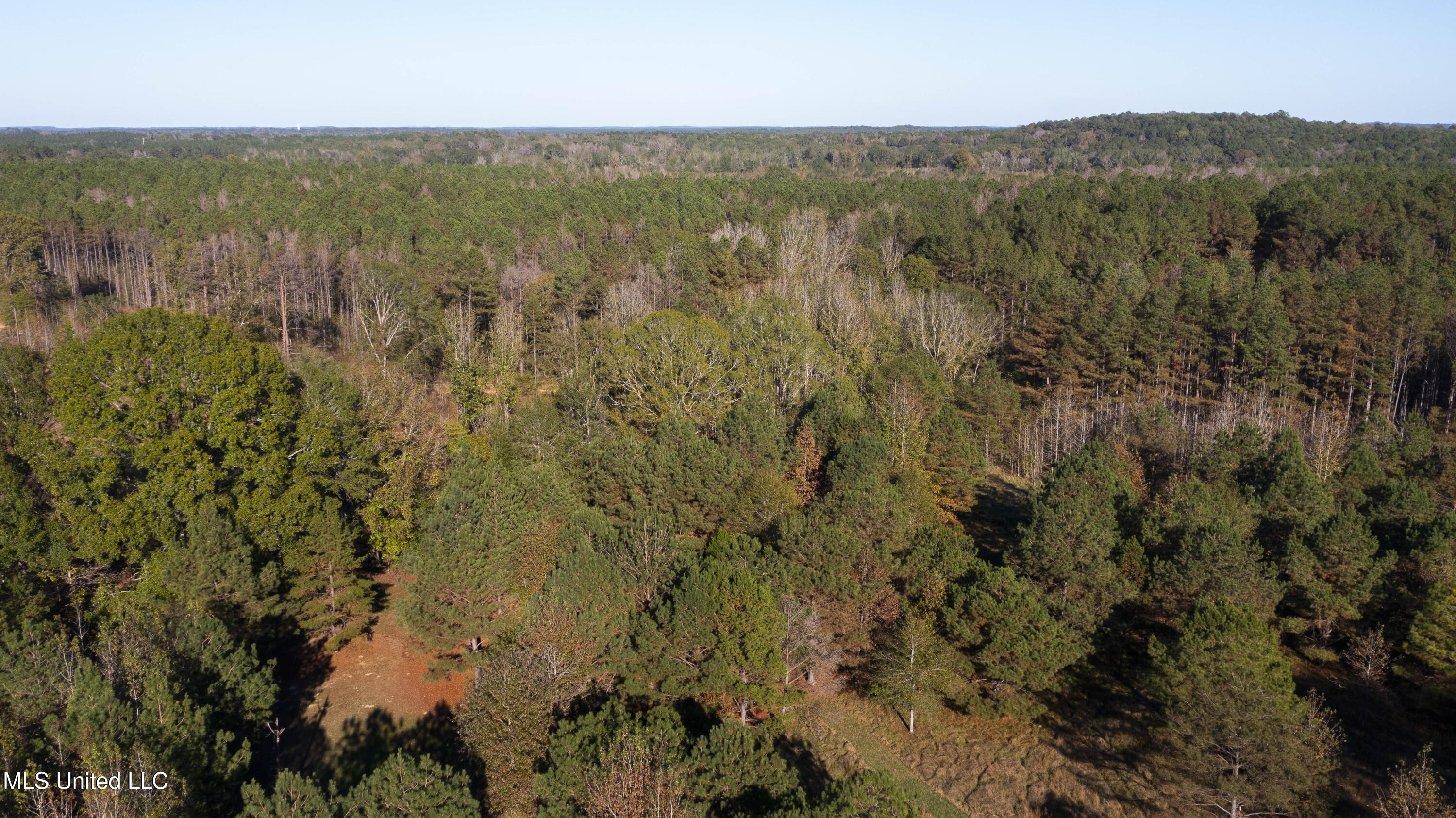 391 Attala Road Sallis, MS 39160 - Photo 78 of 90 391 AR 4127-103