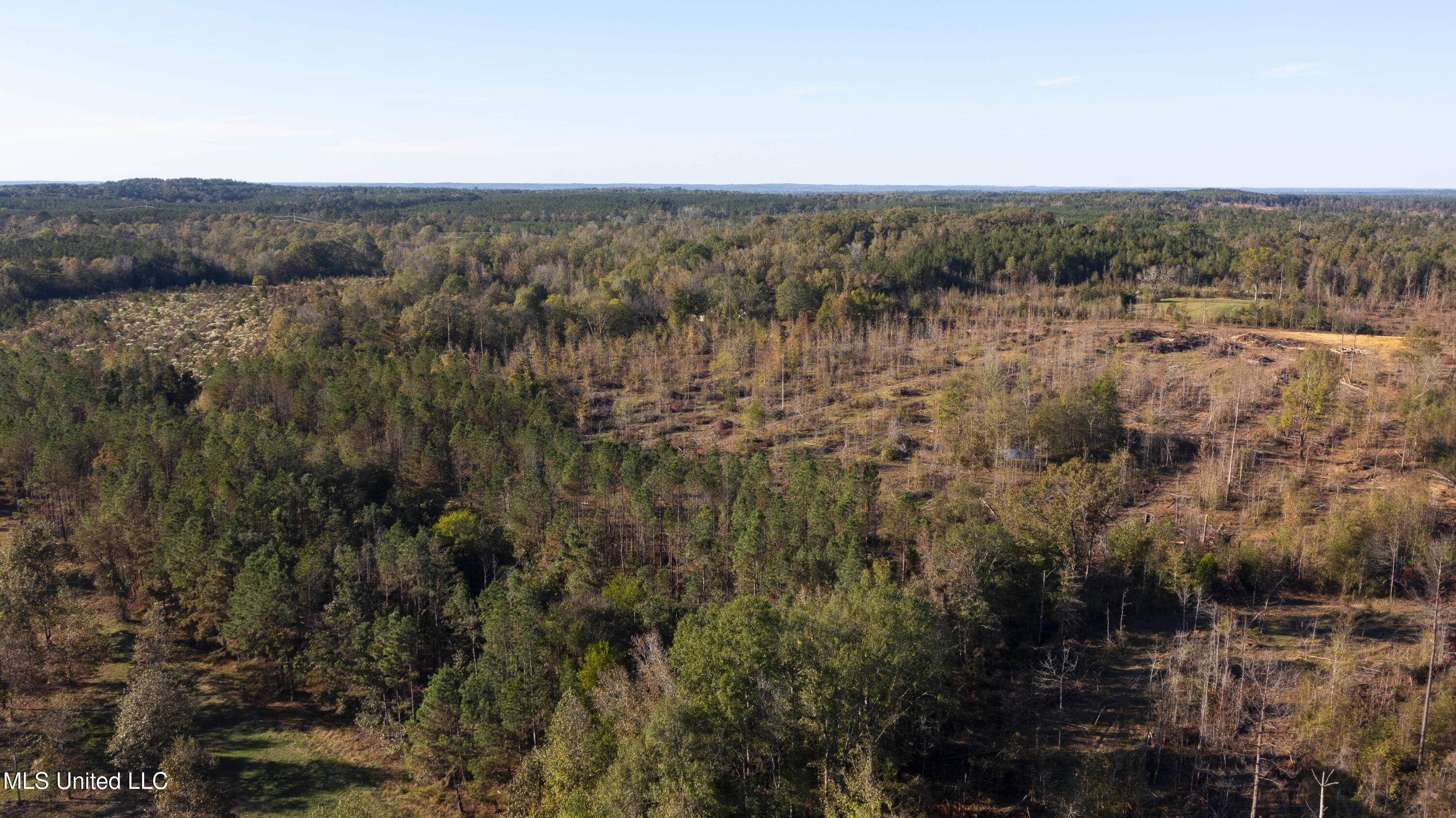 391 Attala Road Sallis, MS 39160 - Photo 79 of 90 391 AR 4127-104