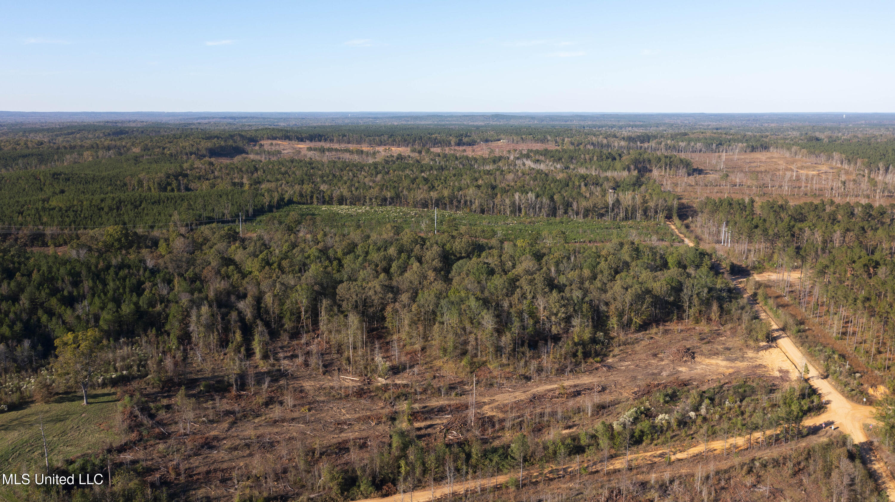 391 Attala Road Sallis, MS 39160 - Photo 81 of 90 391 AR 4127-106