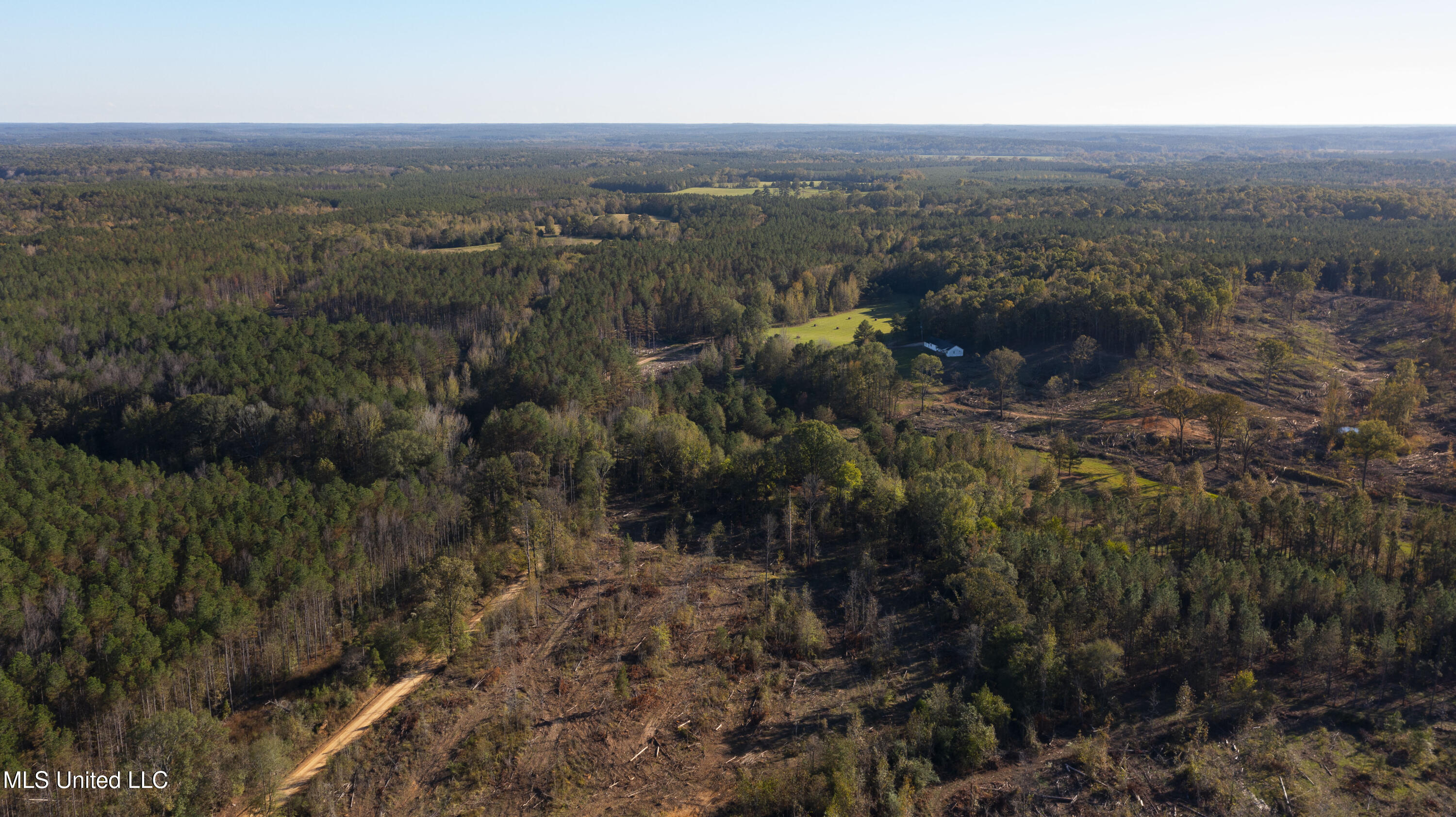 391 Attala Road Sallis, MS 39160 - Photo 82 of 90 391 AR 4127-107