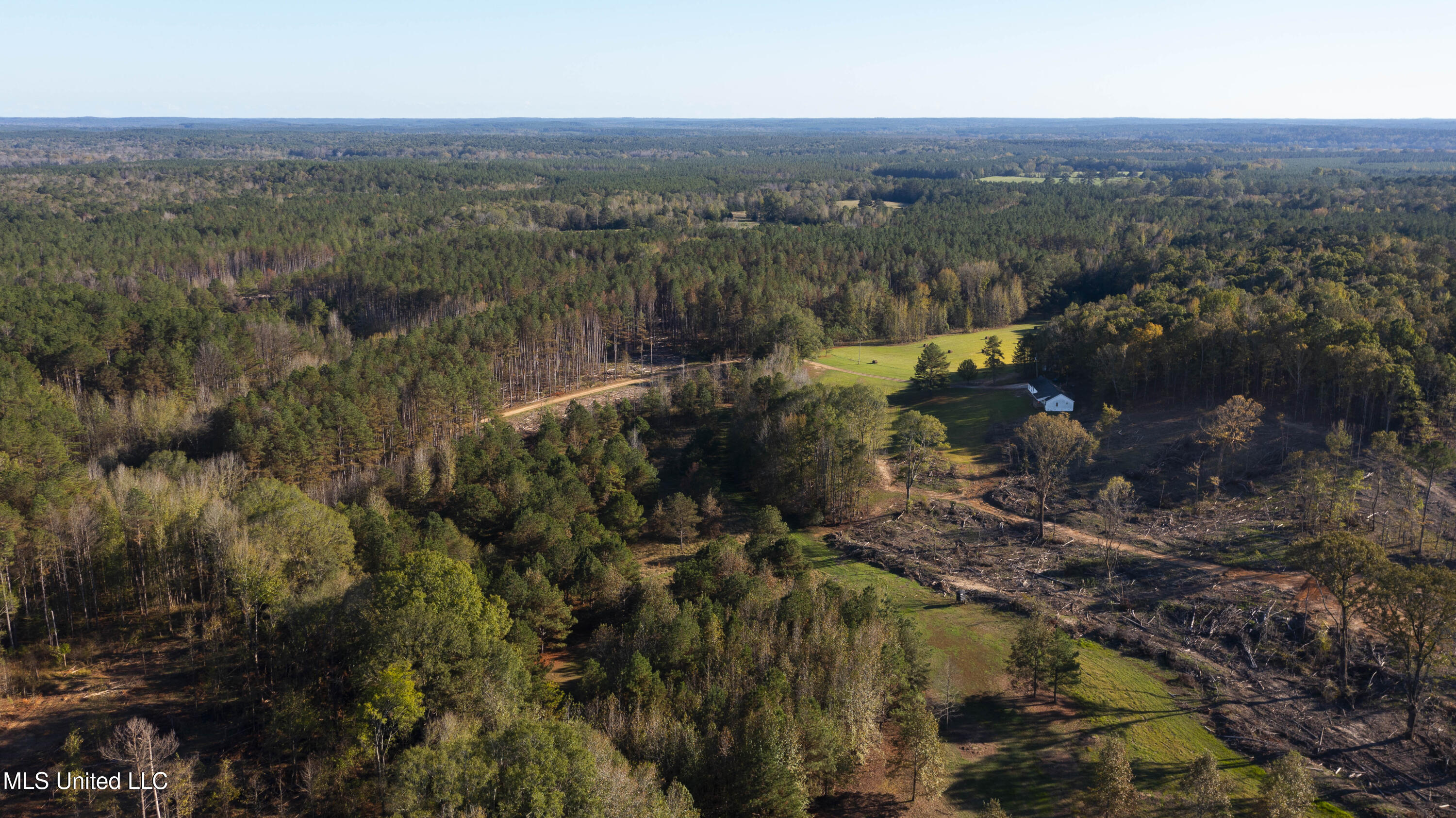 391 Attala Road Sallis, MS 39160 - Photo 84 of 90 391 AR 4127-108