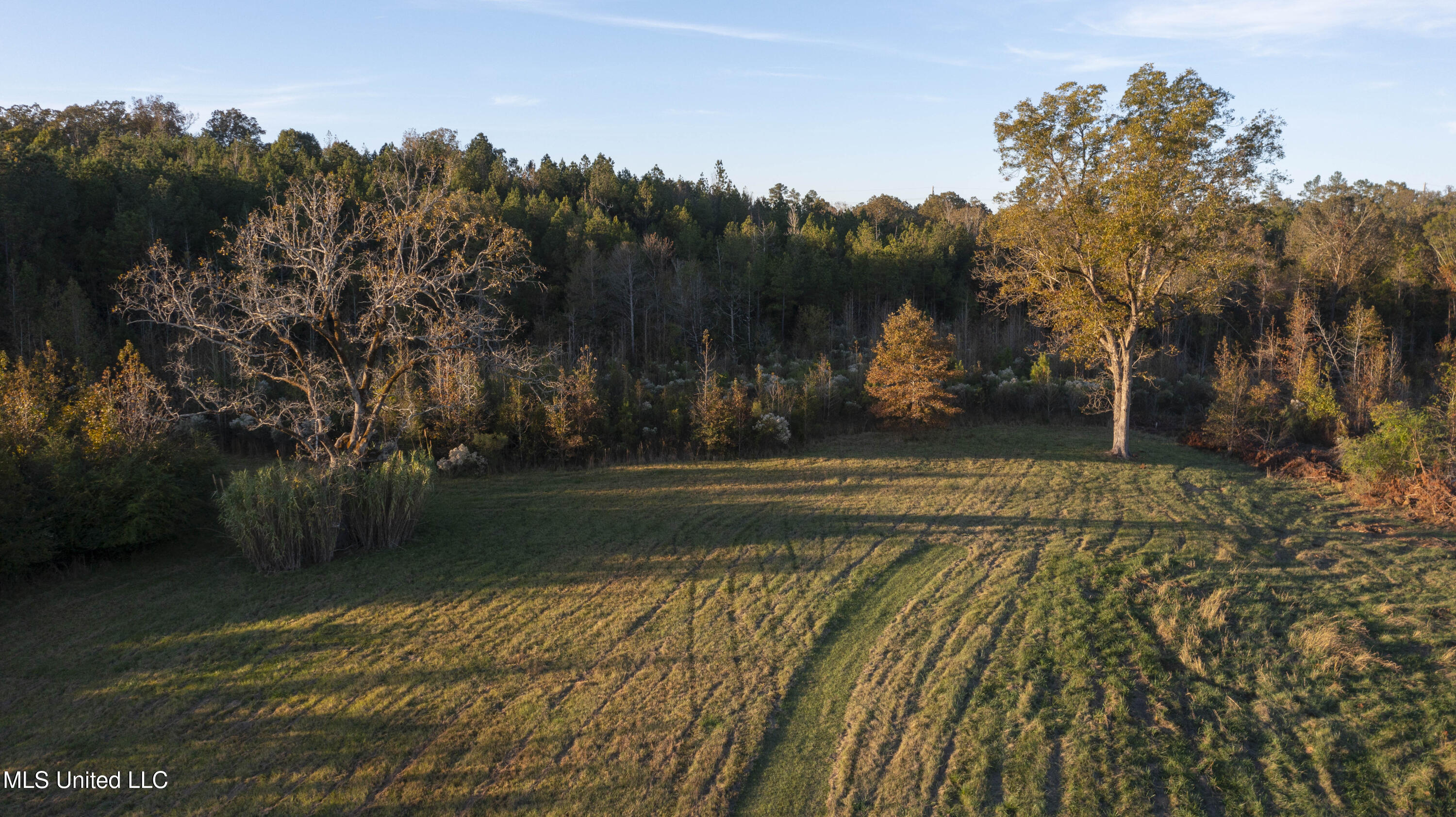 391 Attala Road Sallis, MS 39160 - Photo 86 of 90 391 AR 4127-109