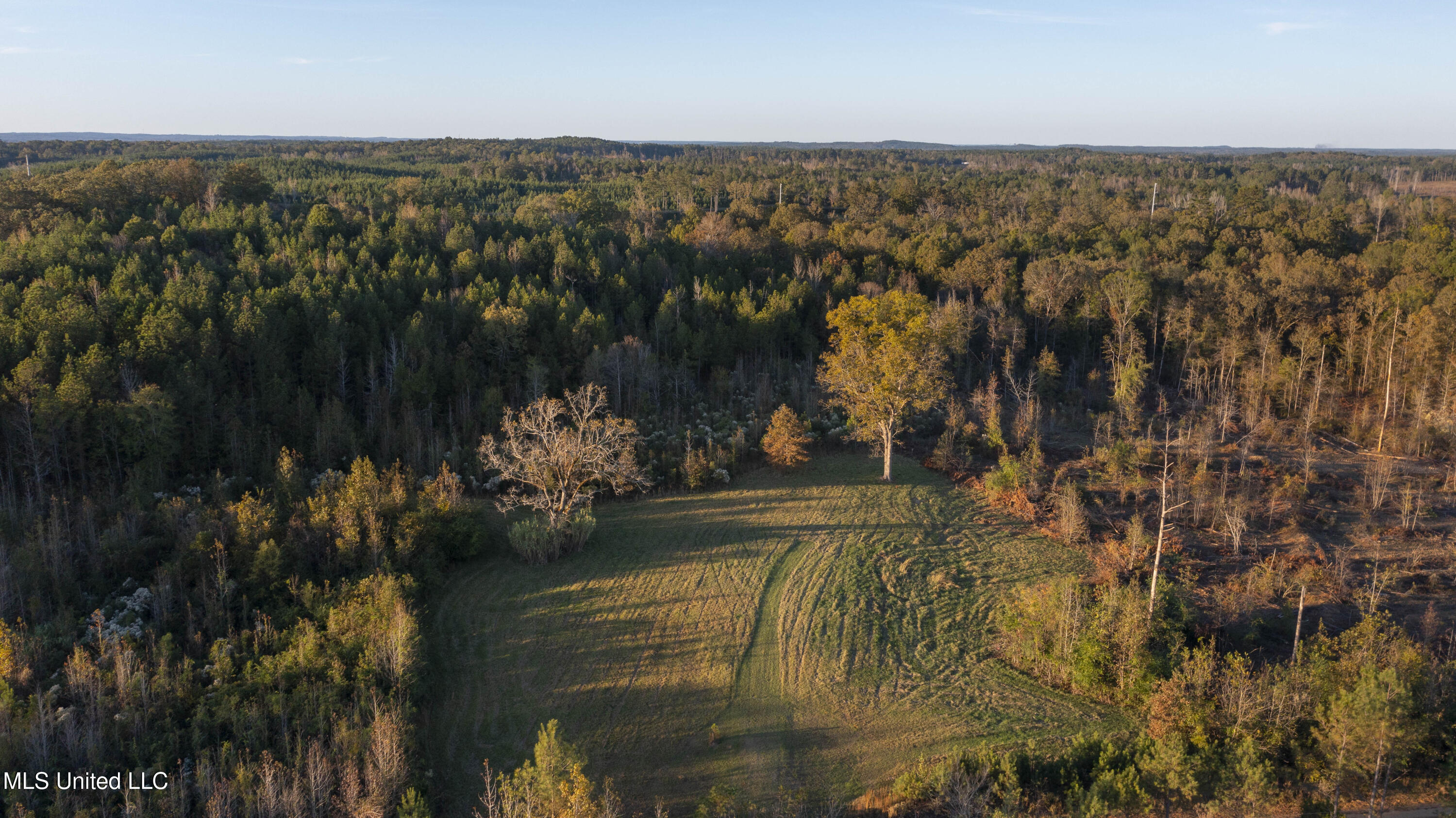 391 Attala Road Sallis, MS 39160 - Photo 87 of 90 391 AR 4127-110