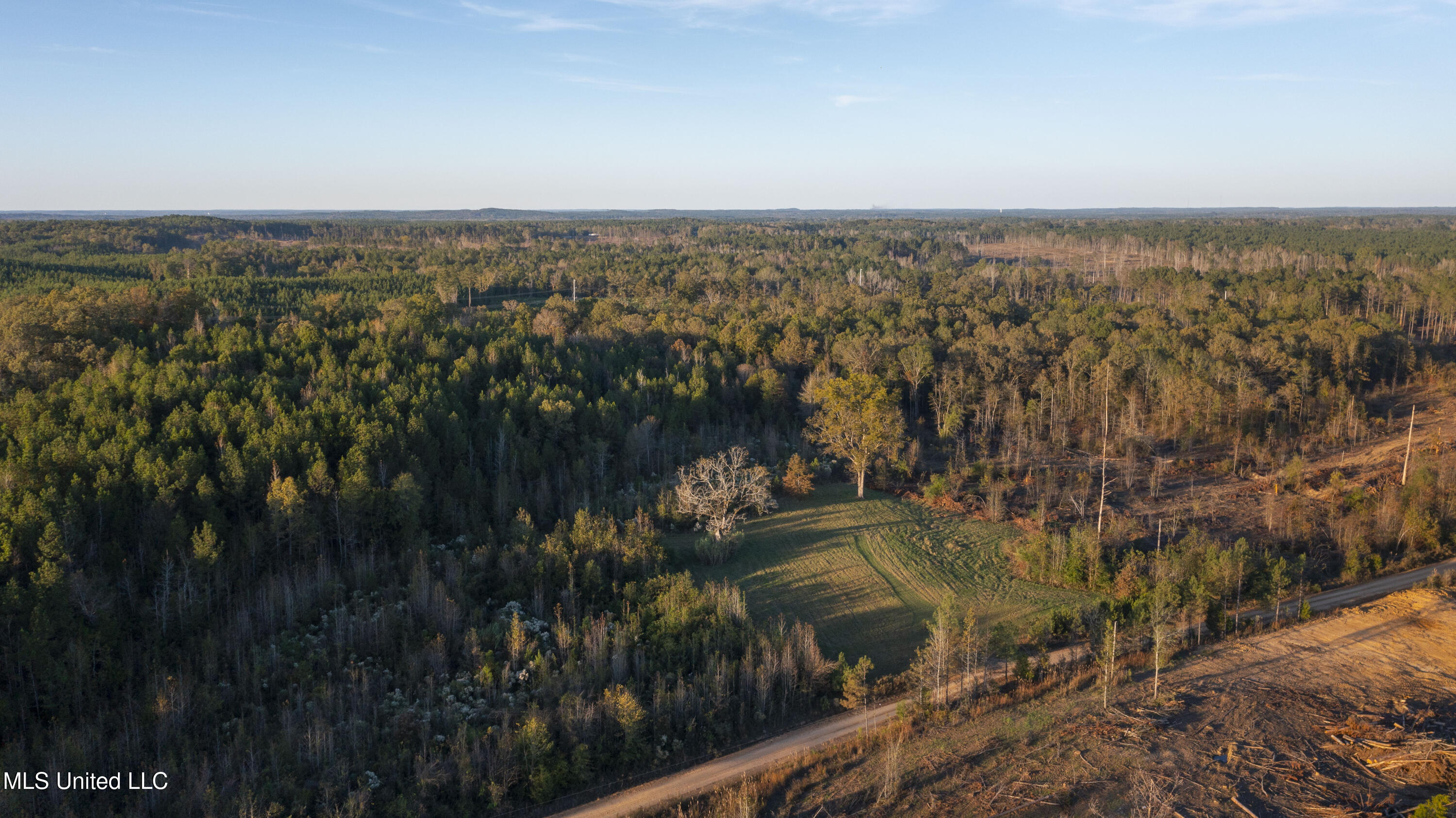 391 Attala Road Sallis, MS 39160 - Photo 88 of 90 391 AR 4127-111