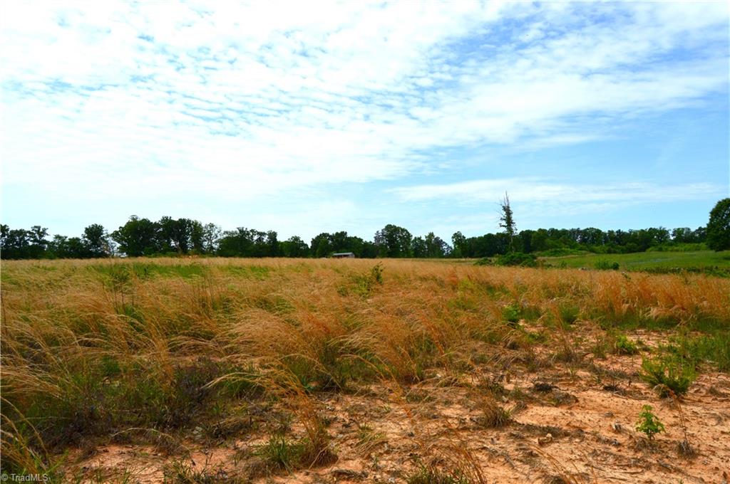 700 Ruffin Nc 27326, Unit TRACT C Ruffin, NC 27326 - Photo 15 of 20