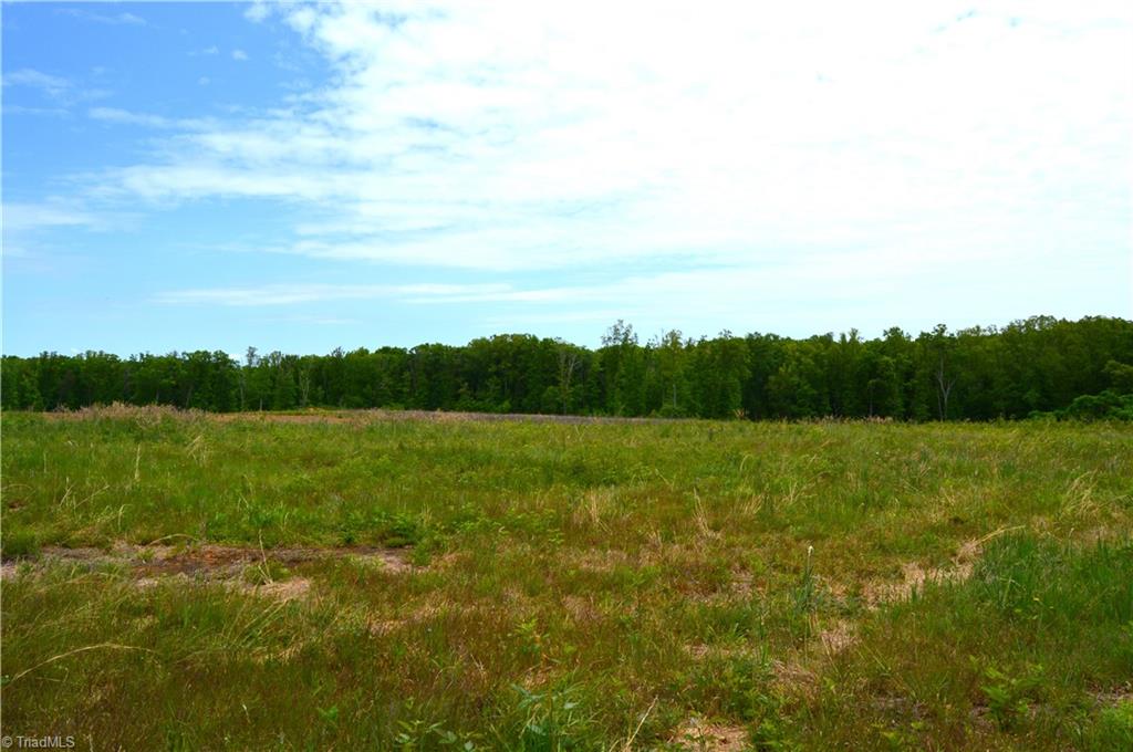 700 Ruffin Nc 27326, Unit TRACT C Ruffin, NC 27326 - Photo 9 of 20