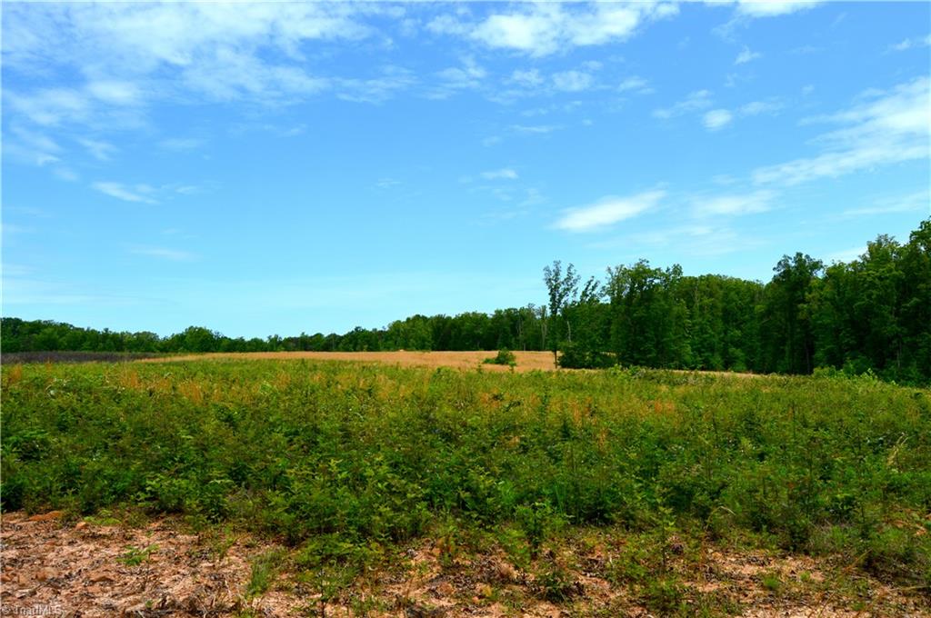 700 Ruffin Nc 27326, Unit TRACT C Ruffin, NC 27326 - Photo 10 of 20