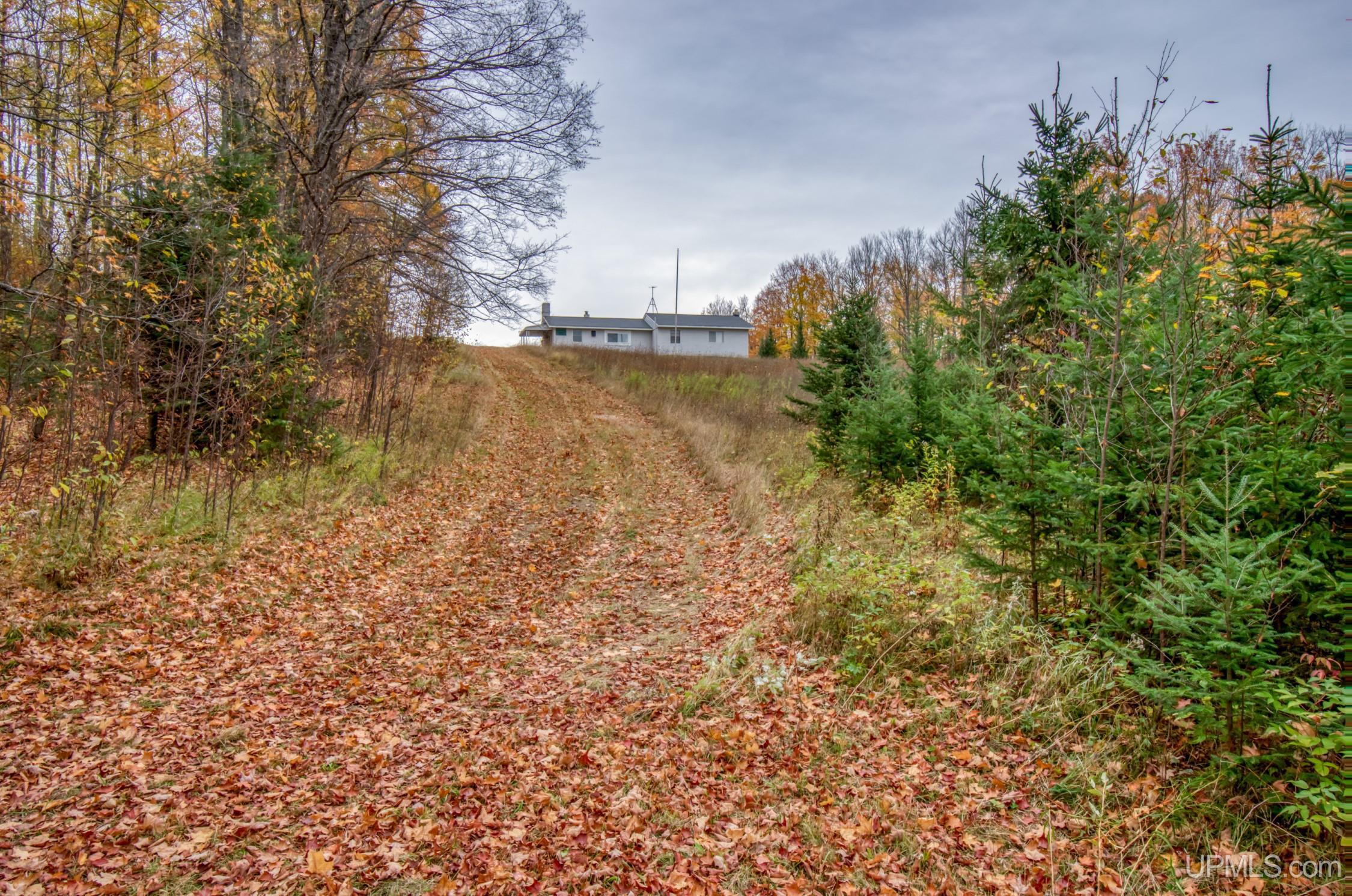 Tbd Tbd Lerza Road Sagola, MI 49881 - Photo 12 of 22