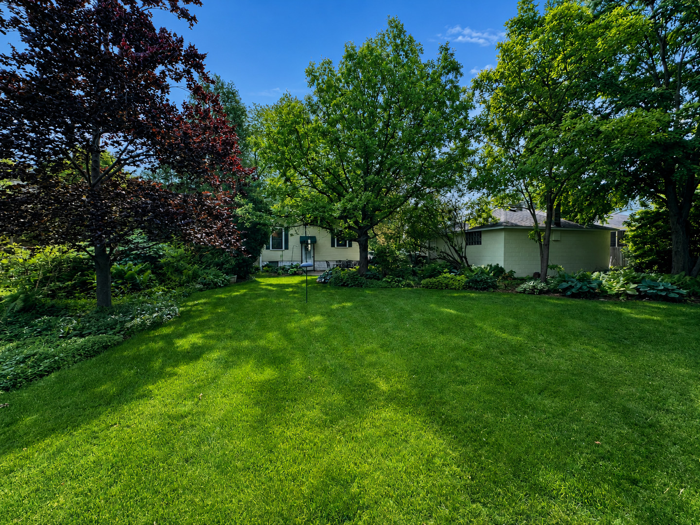 256 Center Road Frankfort, IL 60423 - Photo 5 of 25
