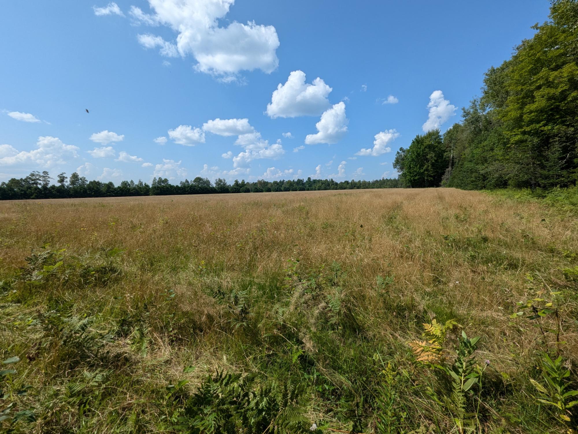 On On Fork Road Phillips, WI 54555 - Photo 2 of 15 Gallery Image 2