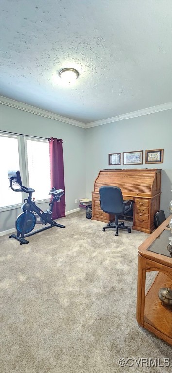653 Eastern View Road Dunnsville, VA 22454 - Photo 18 of 25 Gallery Image 18