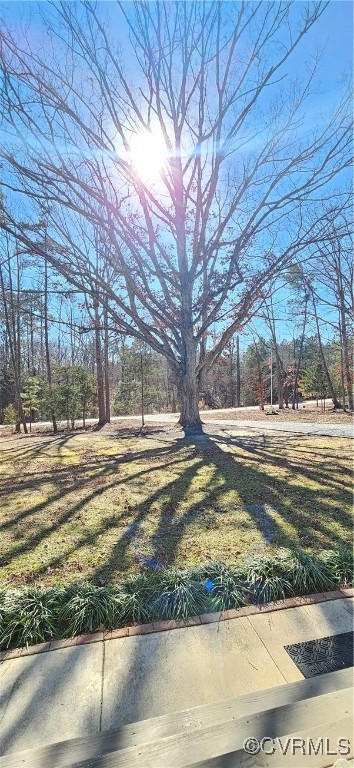 653 Eastern View Road Dunnsville, VA 22454 - Photo 5 of 25 Gallery Image 5