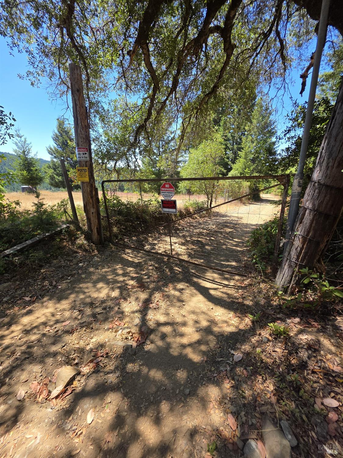 13333 Low Gap Road Ukiah, CA 95482 - Photo 19 of 50 a view of a tree in a yard