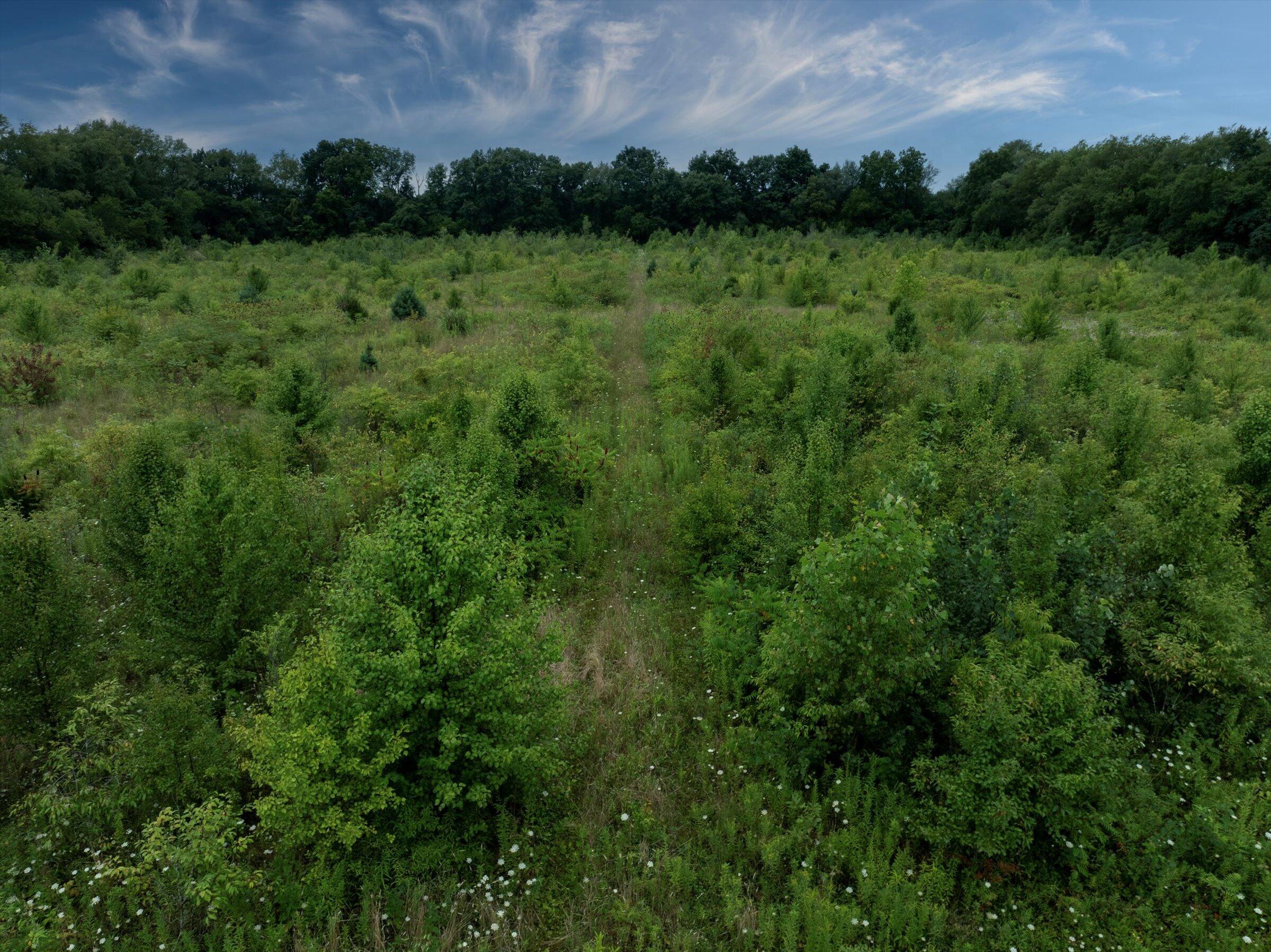 V/l Brush Road Niles, MI 49120 - Photo 9 of 9 8-a-098