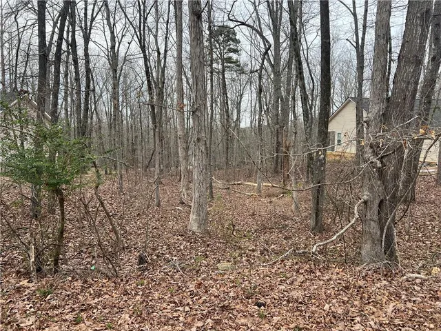 a view of a yard with plants and trees