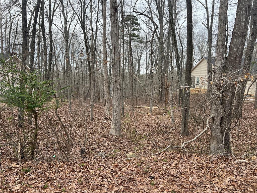 a view of a yard with plants and trees