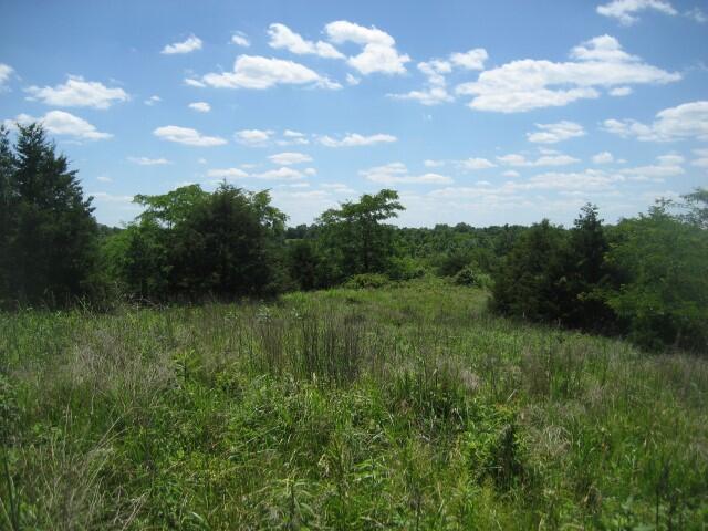 1234 C Rutherford School Road Lawrenceburg, KY 40342 - Photo 7 of 14 IMG_0424 (Small)