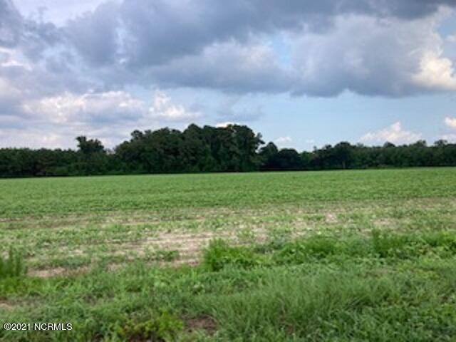 0 Waycross Road Turkey, NC 28393 - Photo 3 of 5 Waycross Farmland 2