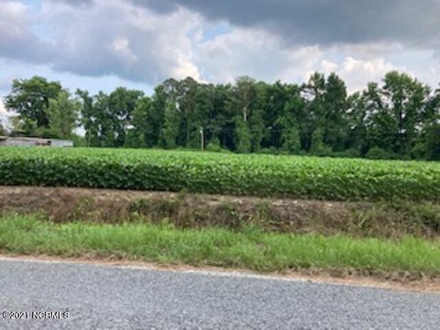 0 Waycross Road Turkey, NC 28393 - Photo 4 of 5 Waycross Farmland 3