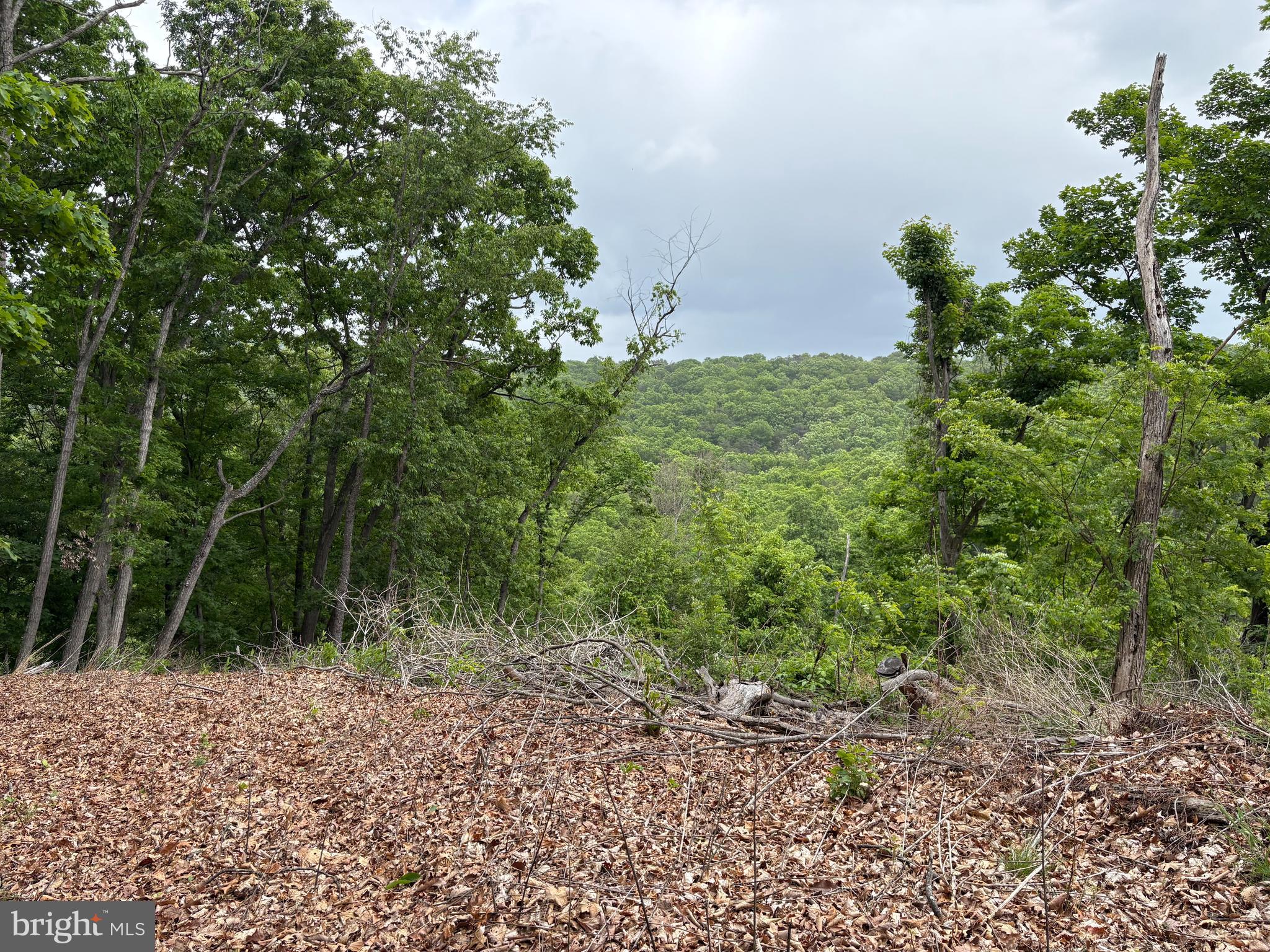 40.15-ac Middle Ridge Road Burlington, WV 26710 - Photo 29 of 47