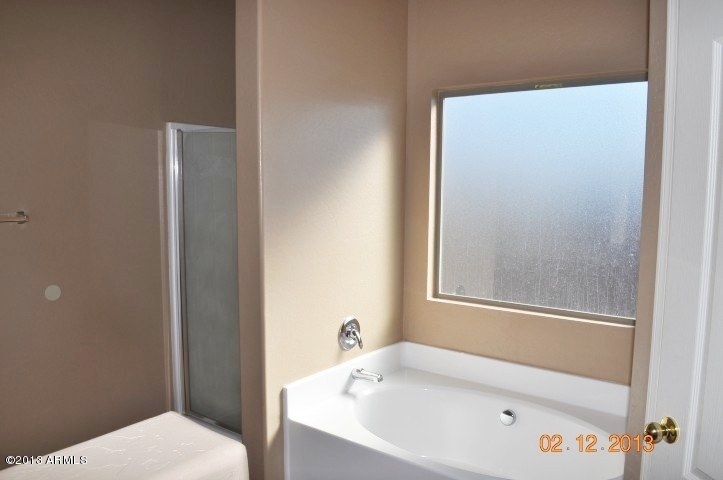 23563 West Pecan Road Buckeye, AZ 85326 - Photo 22 of 27 MASTER BATH (2)