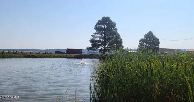 $440,000 | 732 Lots A Luck Lane, Mormon Lake, AZ 86038