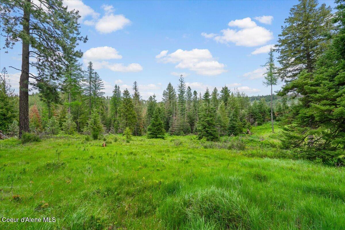 572 Foote Road Desmet, ID 83824 - Photo 31 of 38 Easy Topography