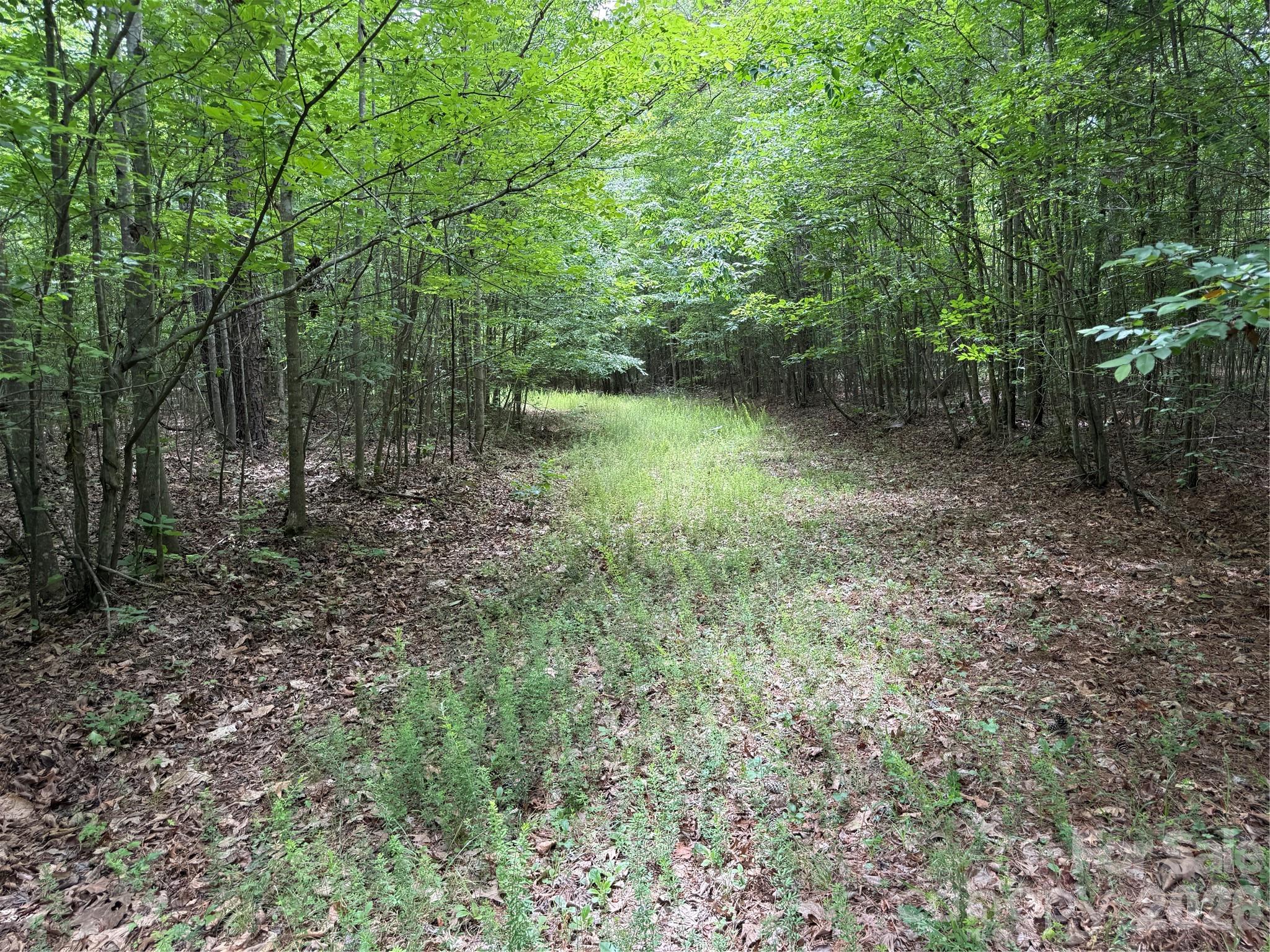 0 Herbert Faucette Road Bullock, NC 27507 - Photo 23 of 40