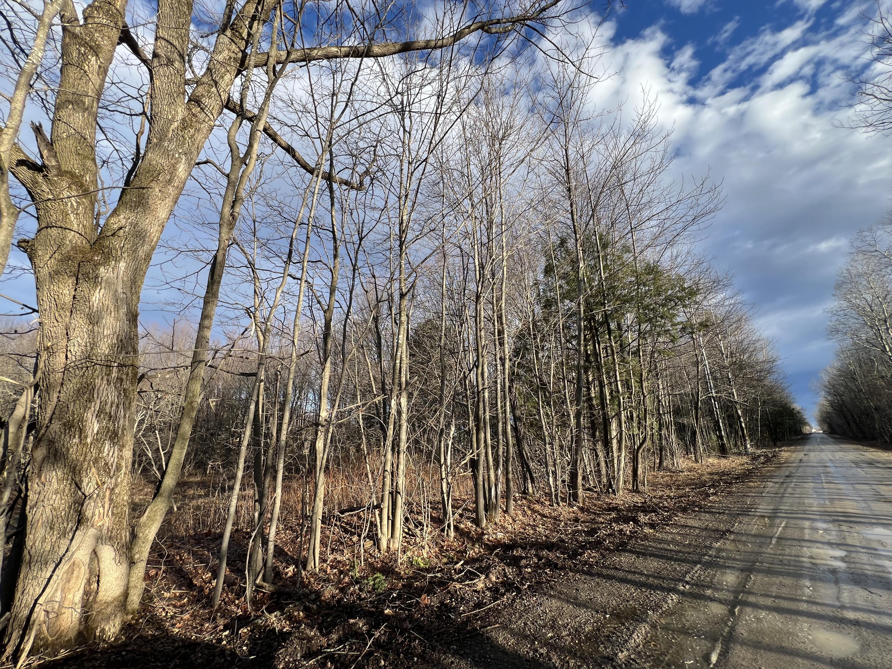 Lot # Commons Road Chateaugay, NY 12920 - Photo 4 of 5 IMG_9388