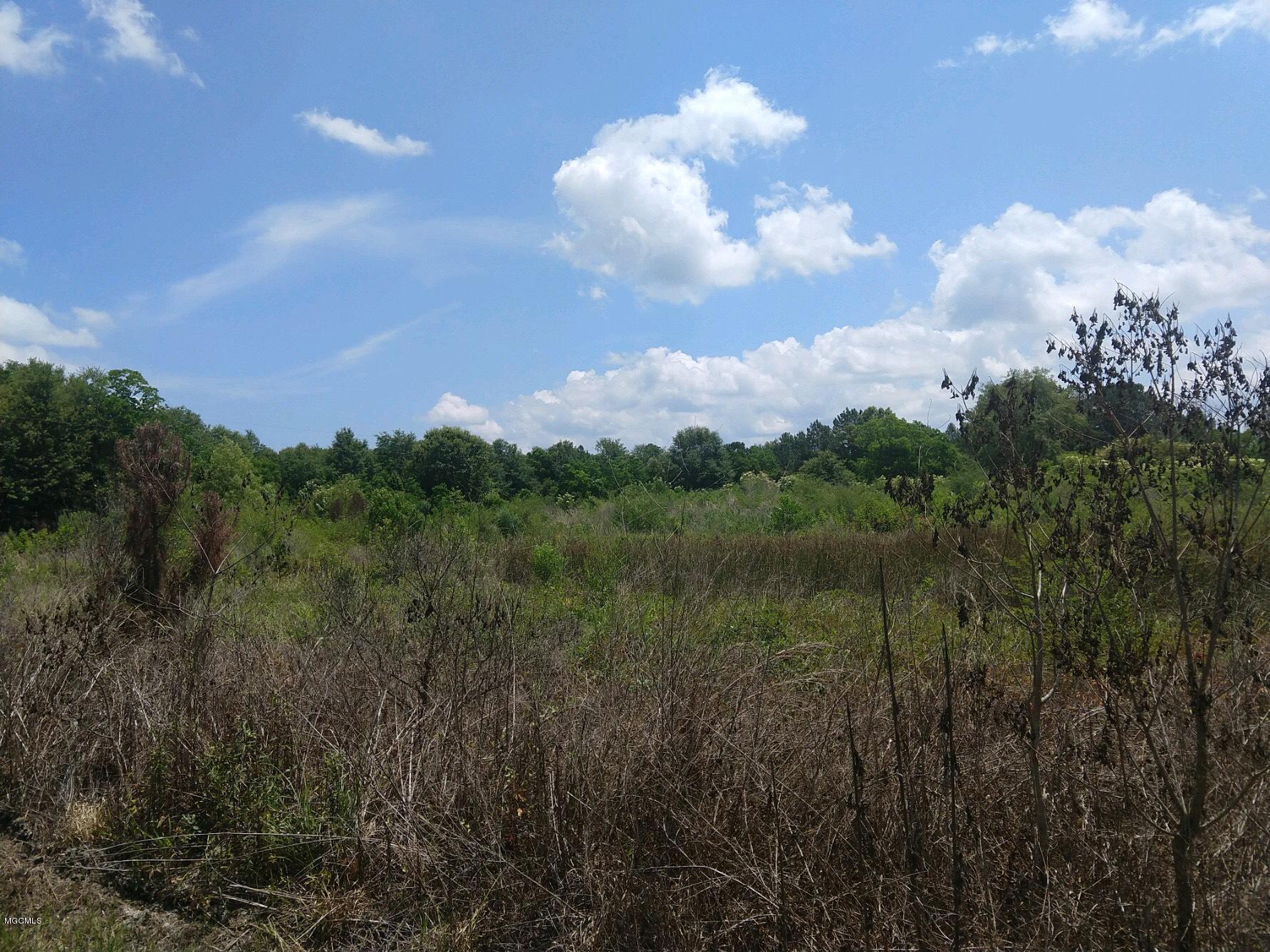 23200 Sam Mitchell Road Picayune, MS 39466 - Photo 1 of 3 Mitchell1