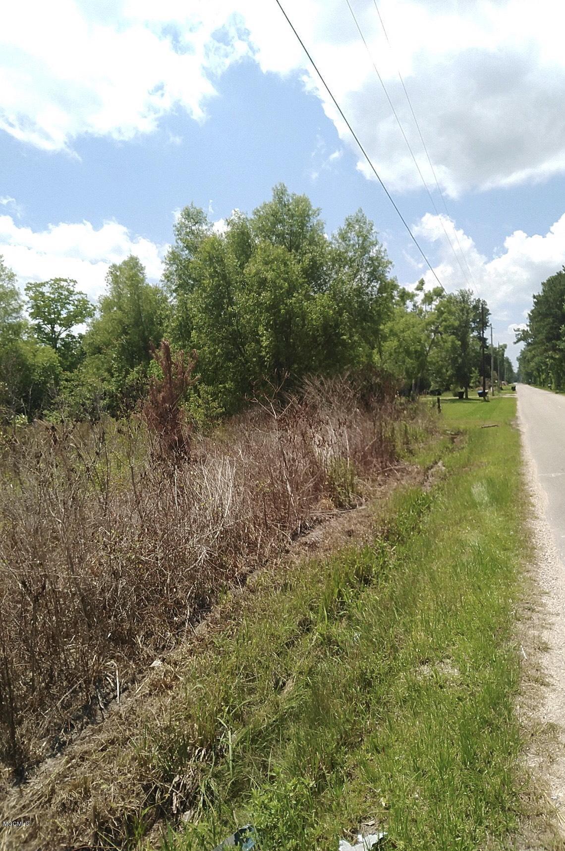 23200 Sam Mitchell Road Picayune, MS 39466 - Photo 2 of 3 Mitchell2
